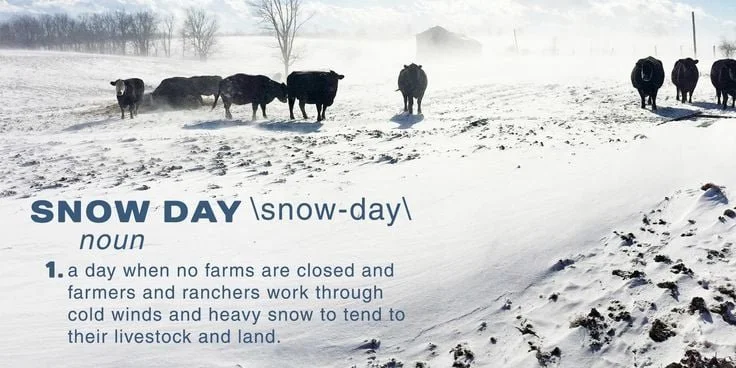 snowday.jpg