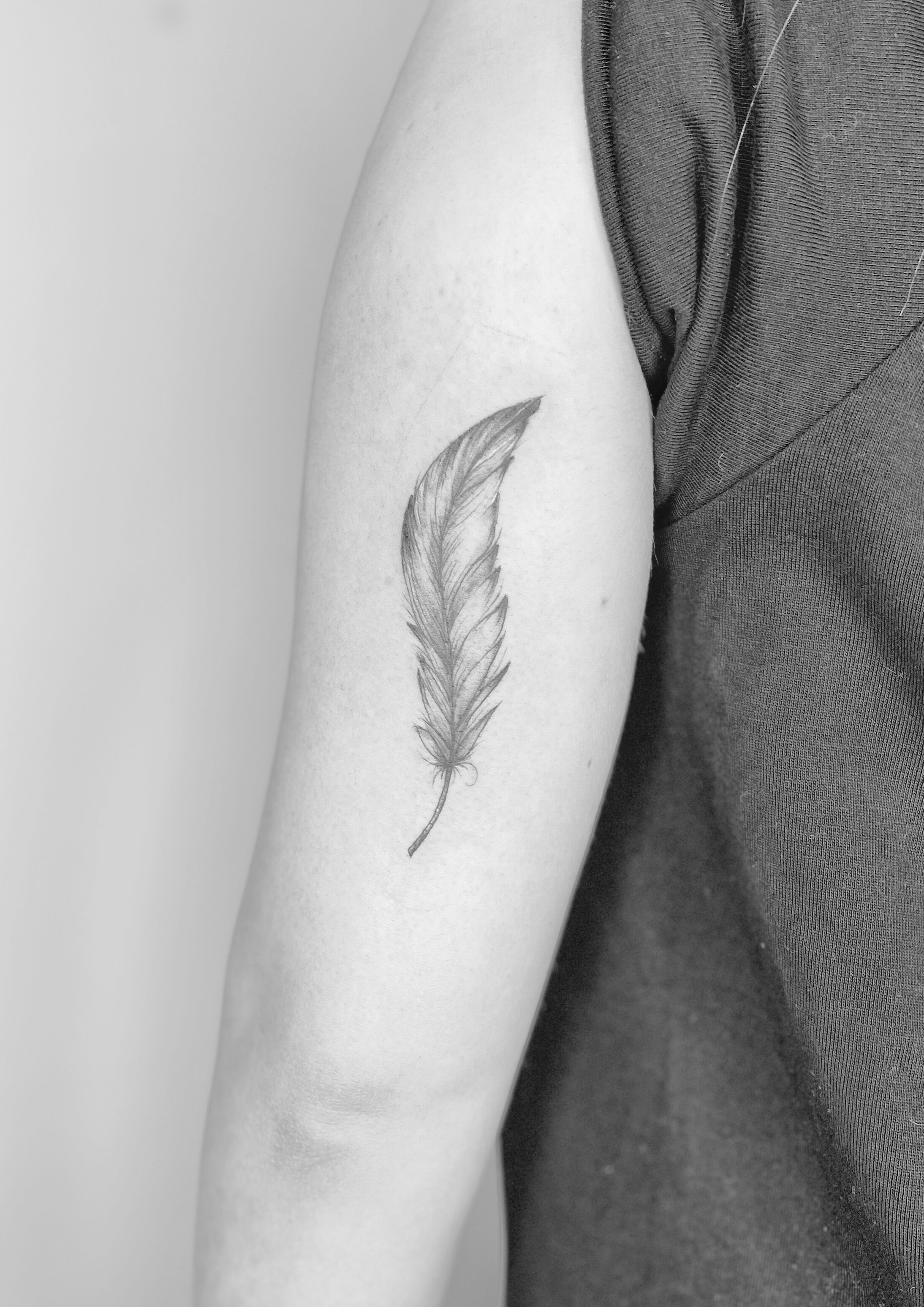 Fine line feather