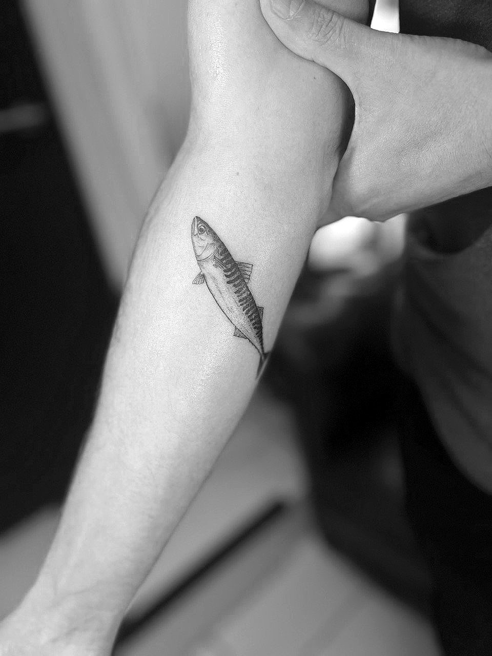 Fine line tattoo of a mackerel by Math