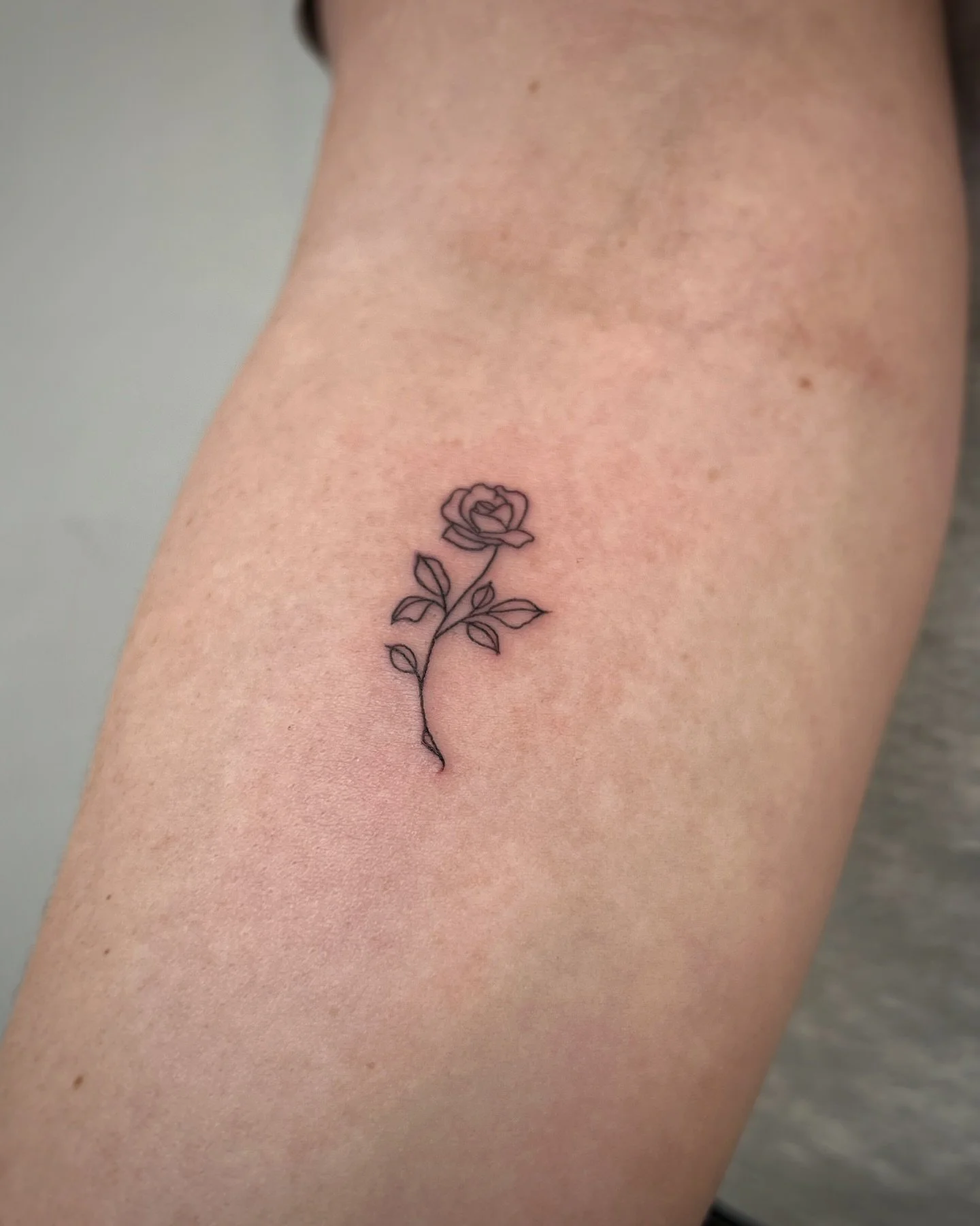 Sometimes I have loved the peacefulness of an ordinary Sunday. It is like standing in a newly planted garden after a warm rain. You can feel the silent and invisible life.

If you want to book in to get tattooed, please drop me a DM or use the contac