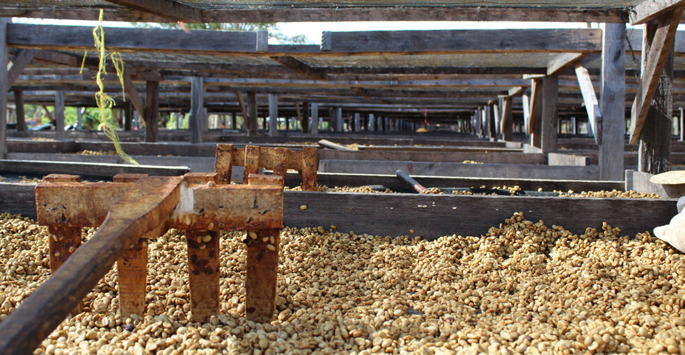 Nicaragua+-+Santa+Maria+-+San+Luis+Red+Honey-2.jpg