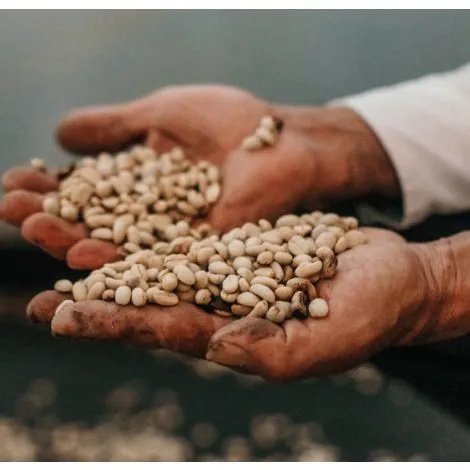 colombia-coffee--organic-seleccion-plandas-1_8.jpg-2.jpeg