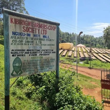 kenya.jpg