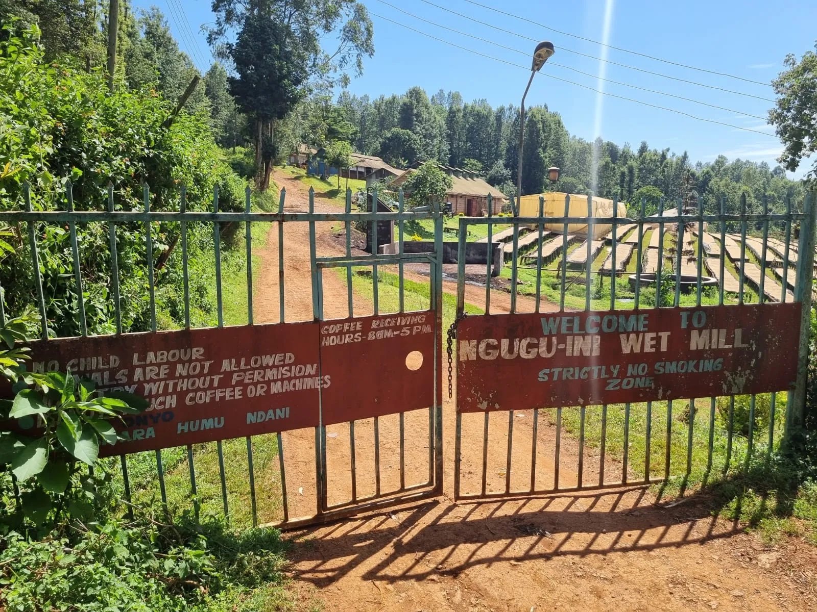 gates kenya.jpg