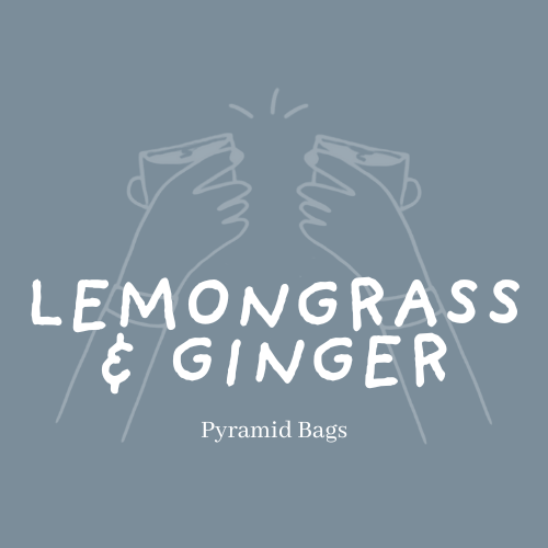 Lemongrass & Ginger | Pyramid Bags