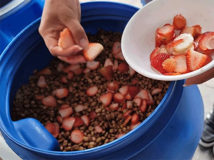 Strawberry colombia.jpg