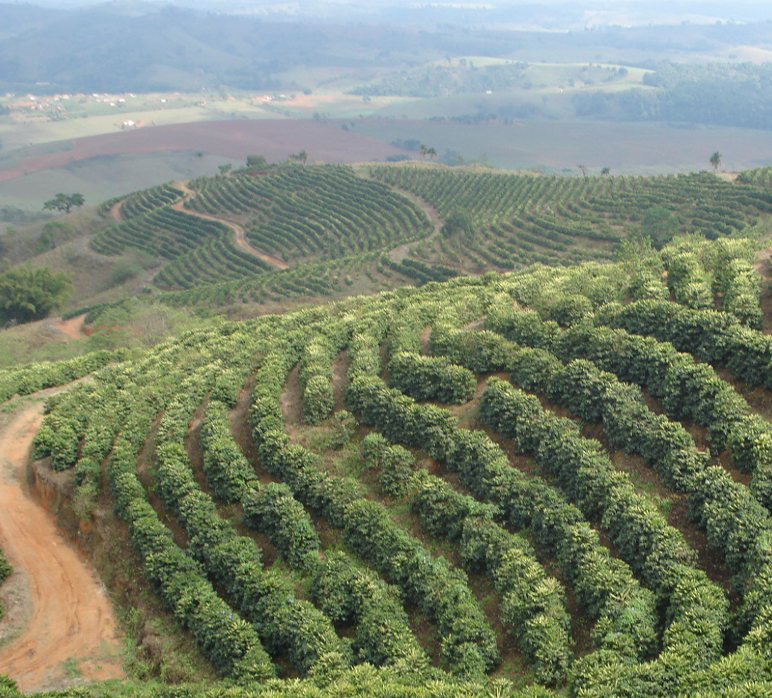 Screenshot 2026-02-17 at 15.00.04.png