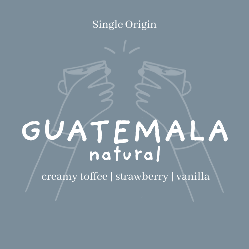 Guatemala | Blue Ayarza - Natural