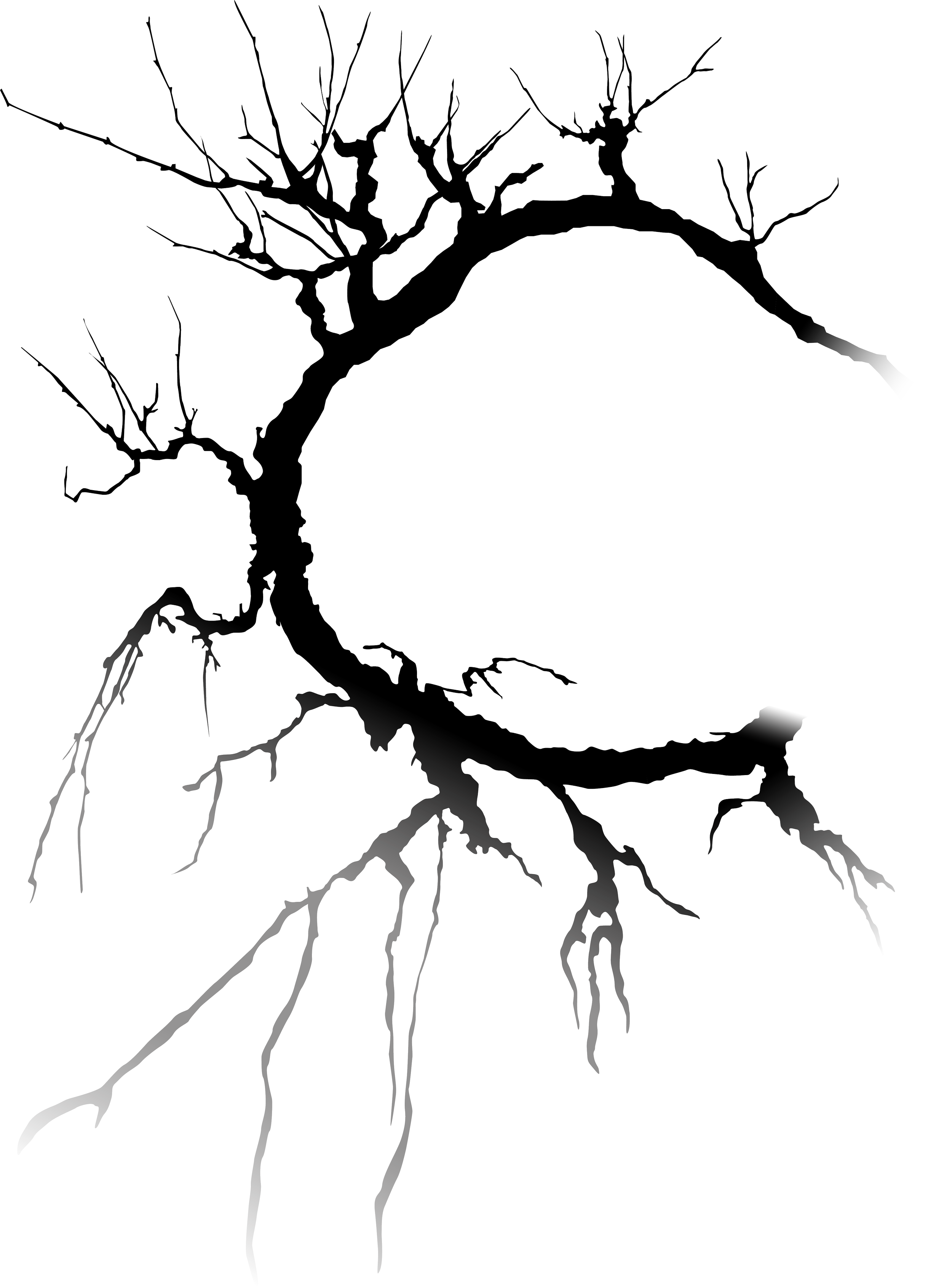 branch logo Veyssel