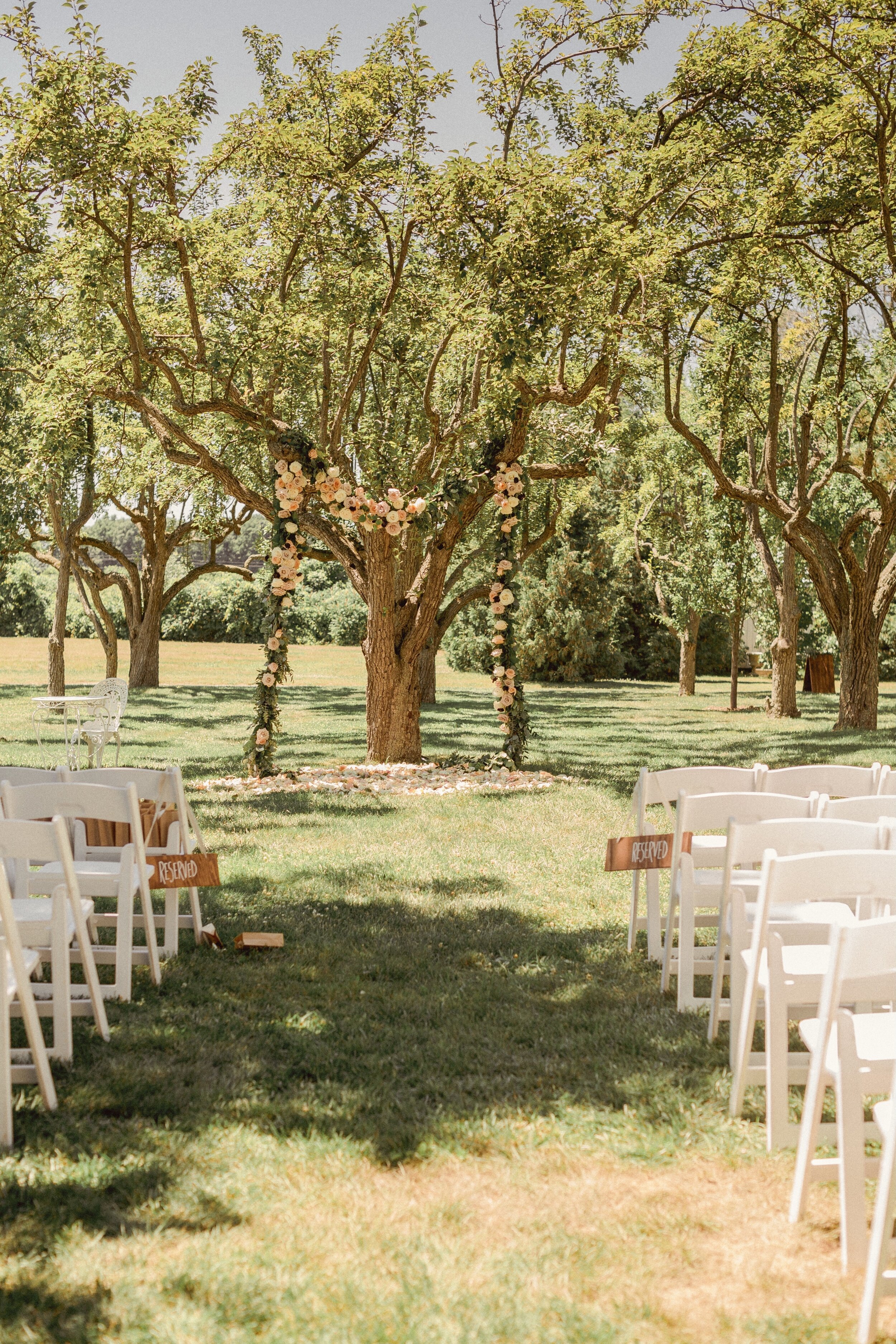 flowered-wedding-arch-under-tree.jpg