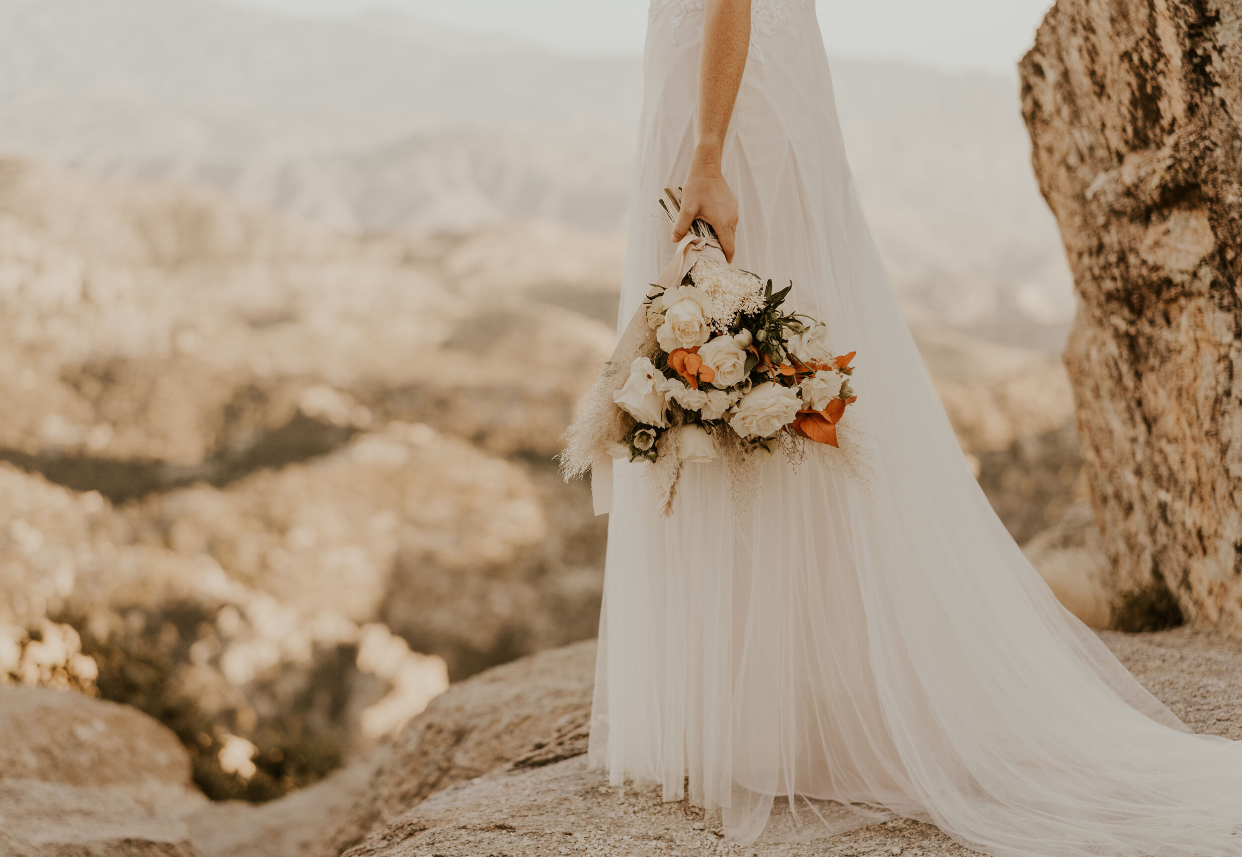 Sara Elizabeth Photography