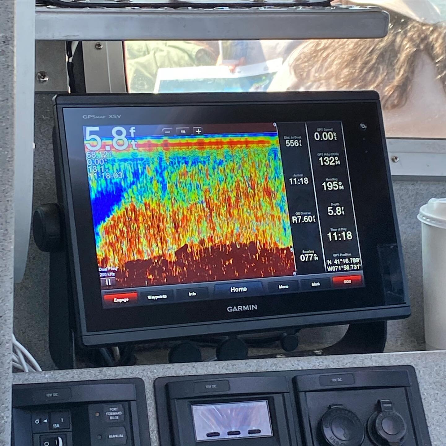 Ever wonder what eelgrass looks like on a depth finder? Here it is! There are so many ways to find eelgrass but this one might be one of the more tech-heavy methods. The easiest way to see if you are over an eelgrass bed is to check over the side of 