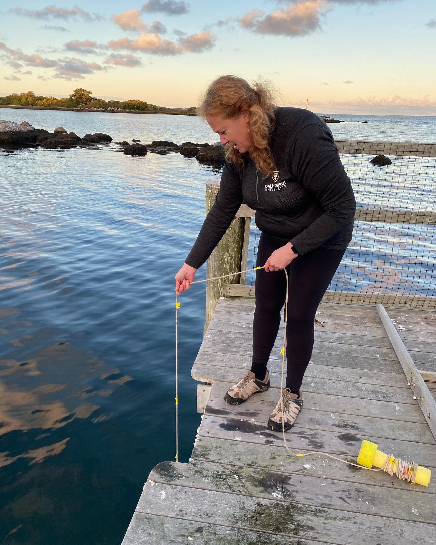 A calm autumn morning to collect water samples and watch the sunrise! The cooler weather brought better water quality with it 🤩. There are still a couple of good weather days ahead to enjoy it! 🎉