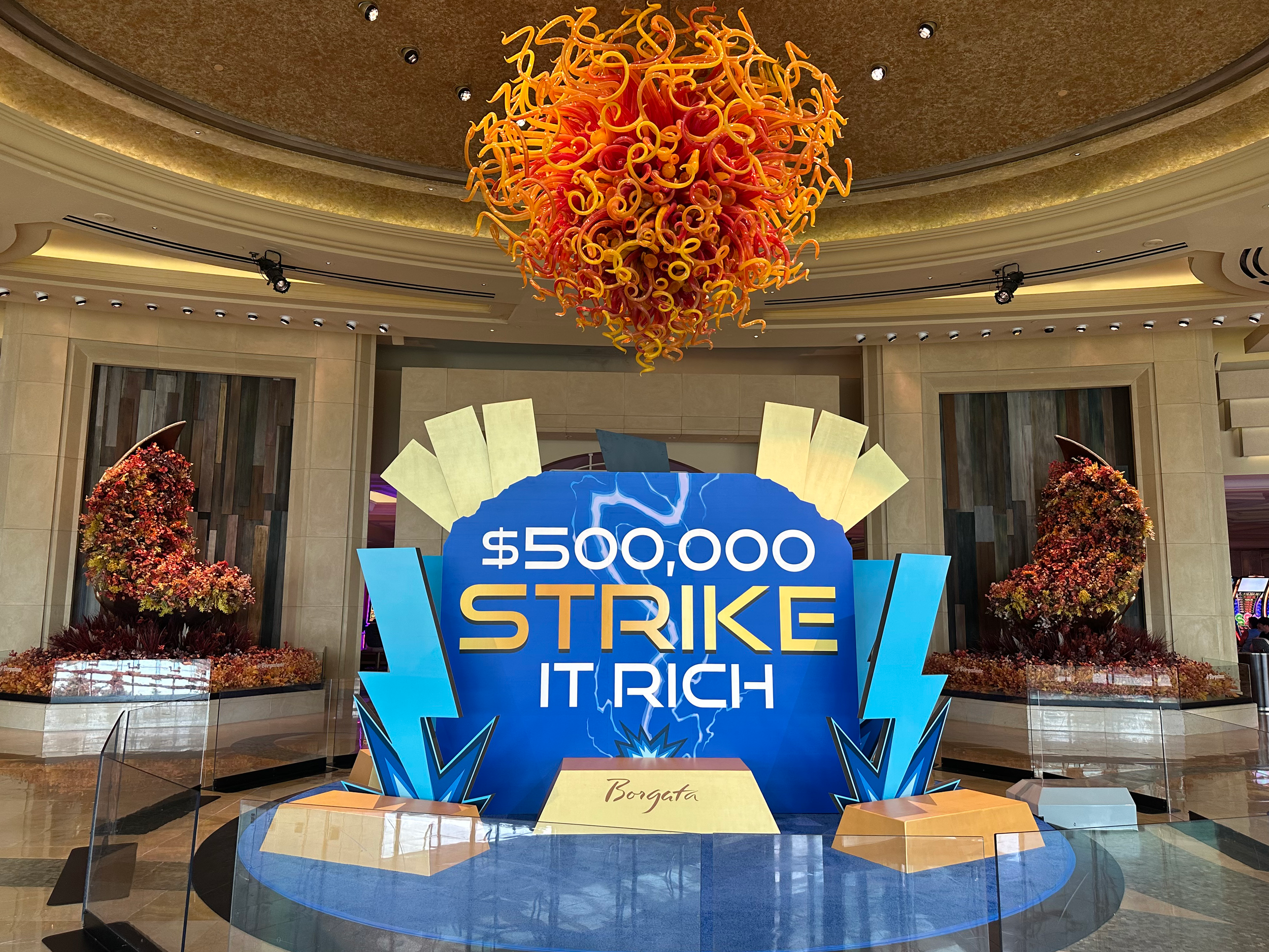 Strike It Rich Display Back.png