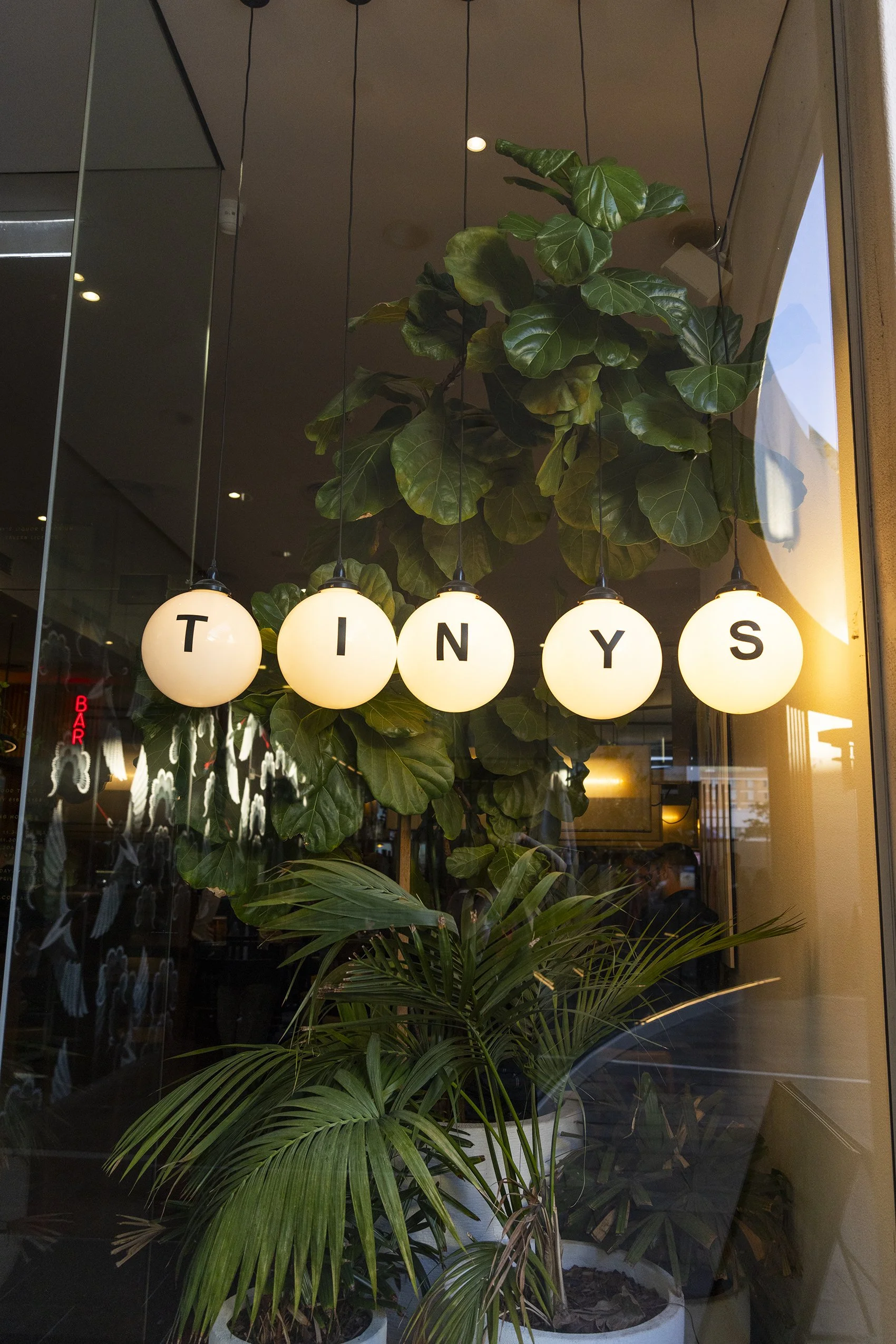 TinysJul24-2288.jpg