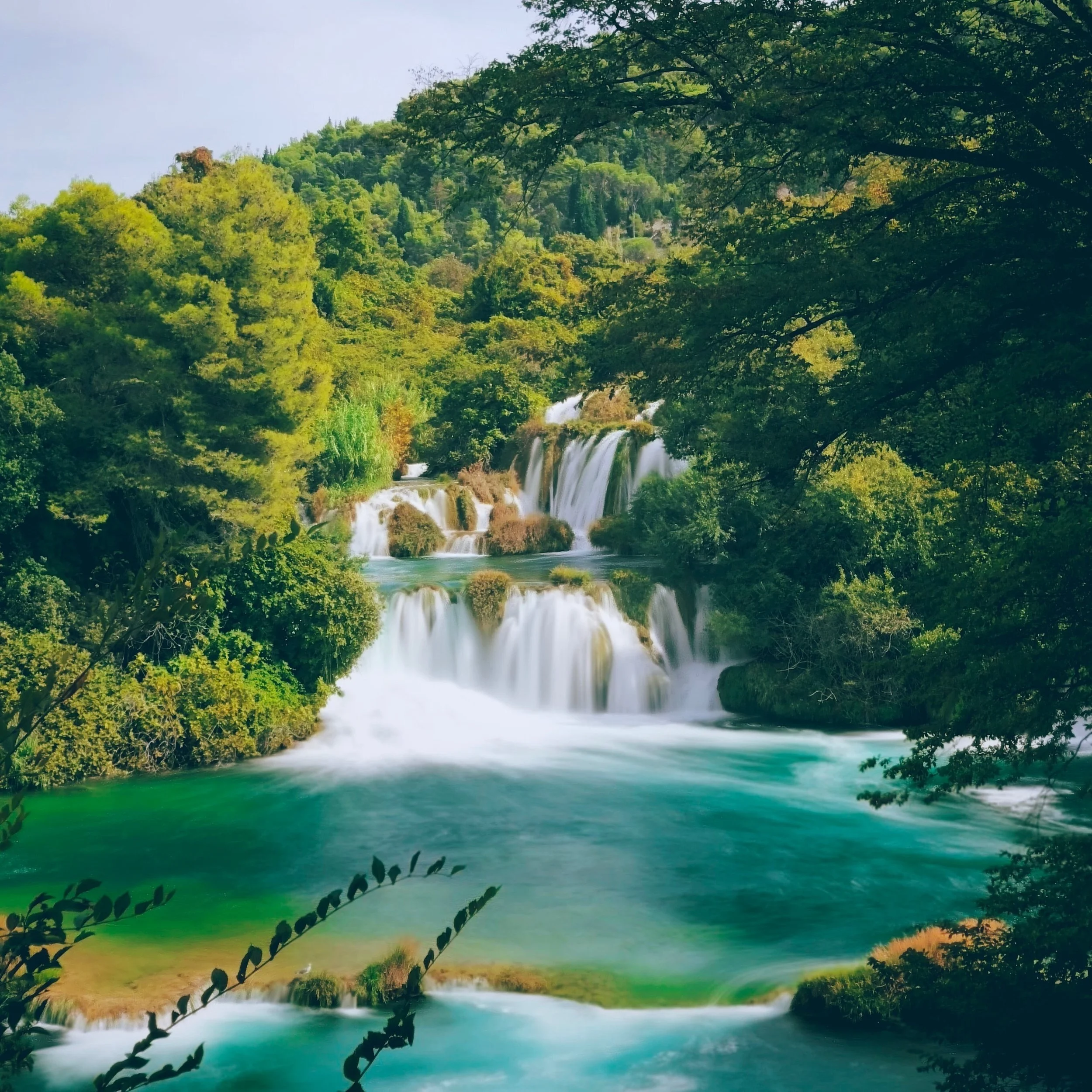 Reiki - Roxanne Stone