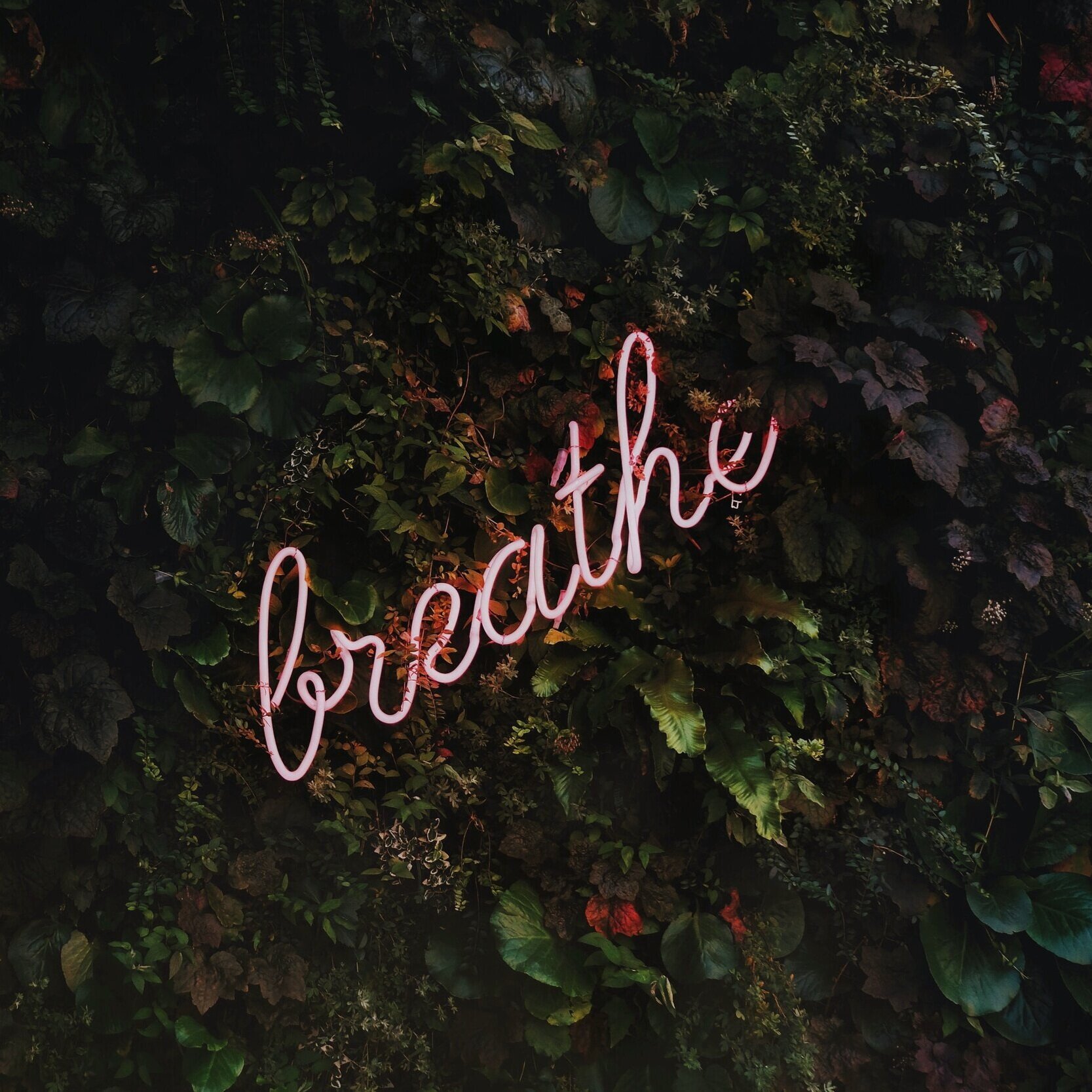 Just Breathe 3.14.20