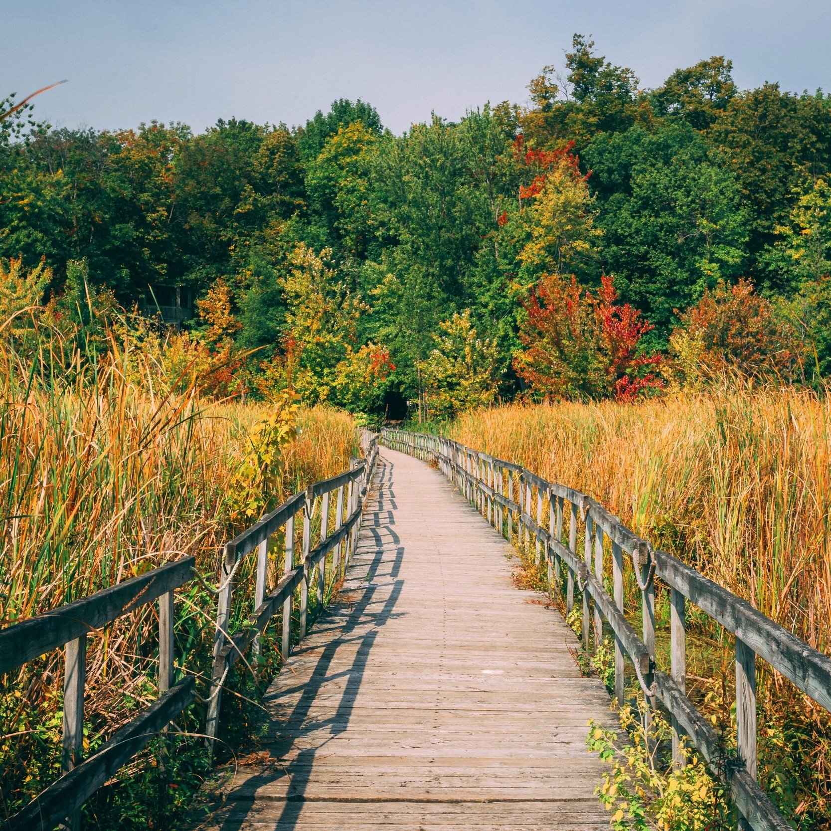 Past-Life Regression