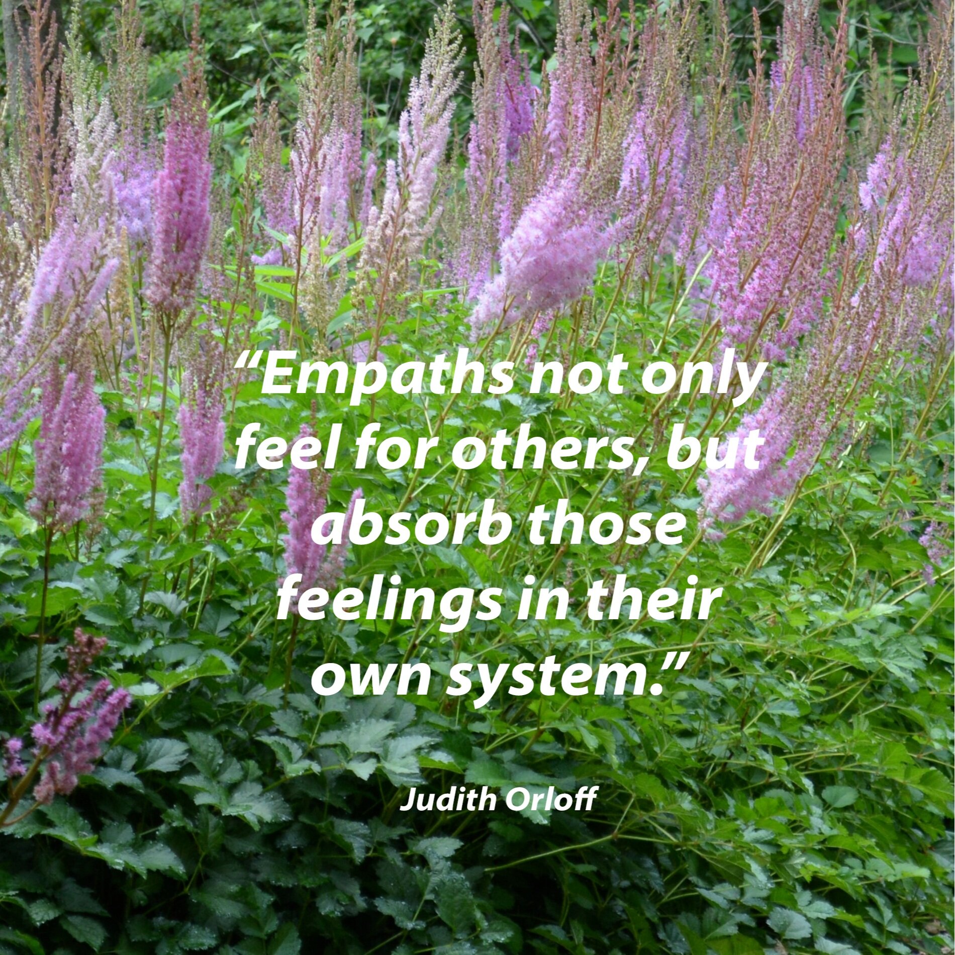 Empaths 2.27.21