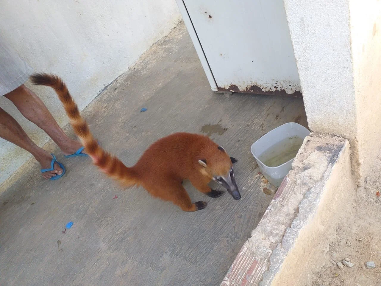 Sunday Funday March 8