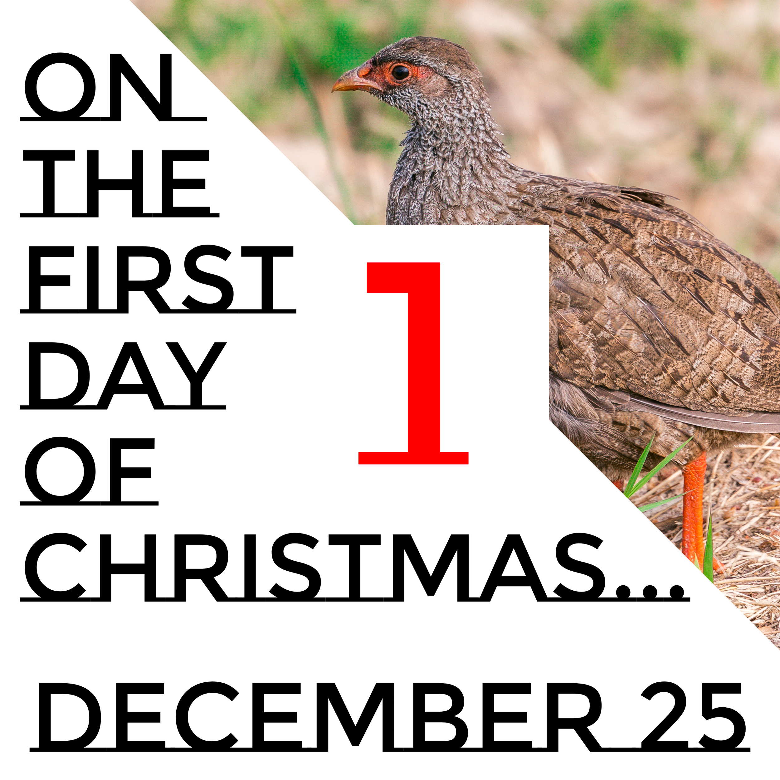 12 Days of Christmastide