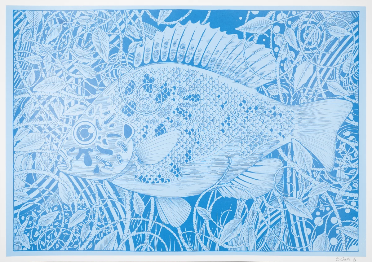 Pumpkinseed print. 2017.jpg
