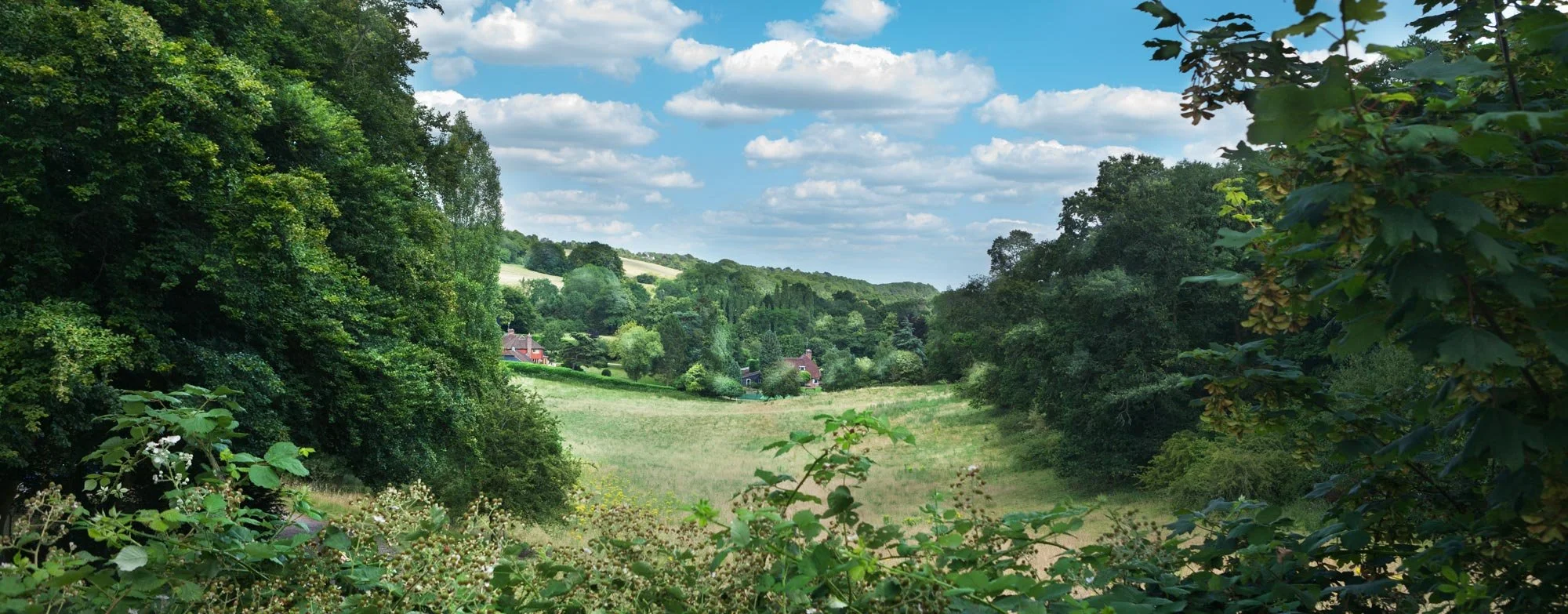 seale-view1.jpg