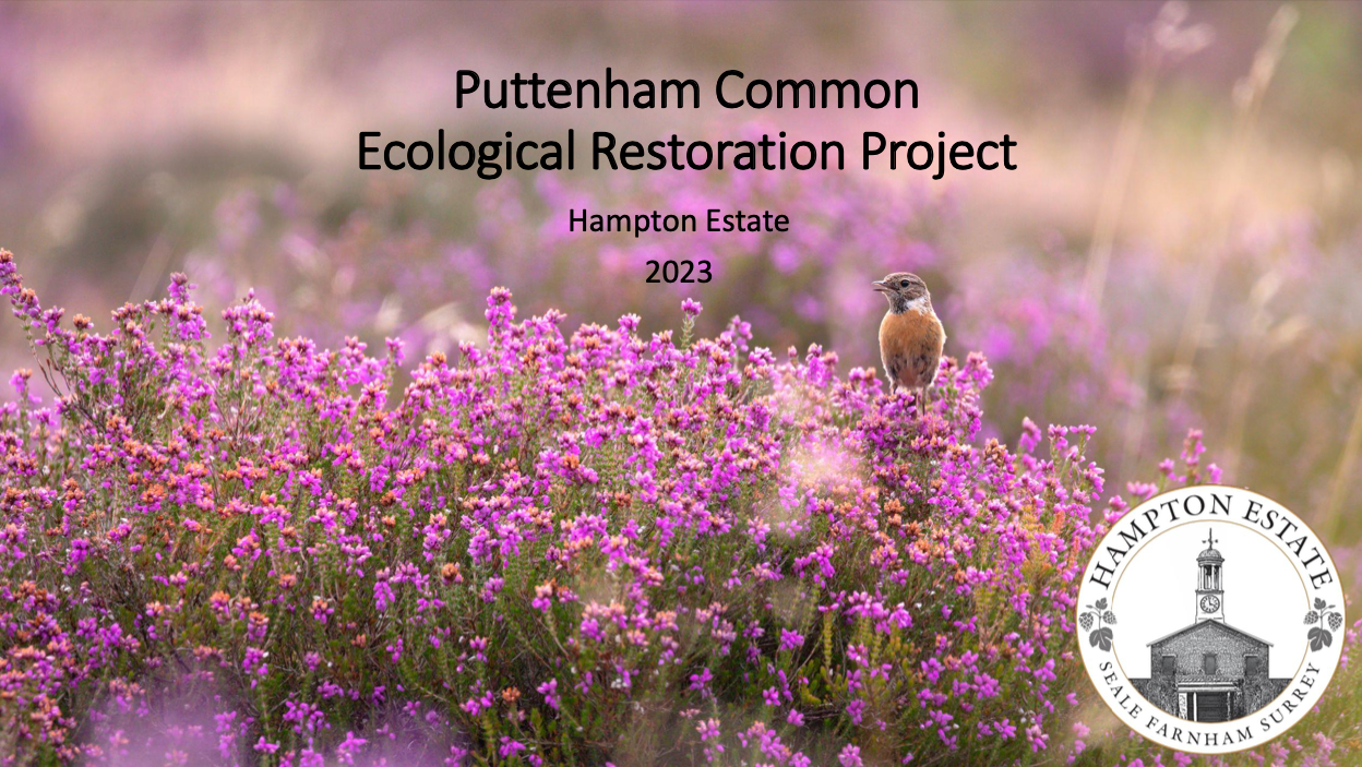 Hampton Estate - Puttenham Common Ecological Restoration Project 2023 - Updated