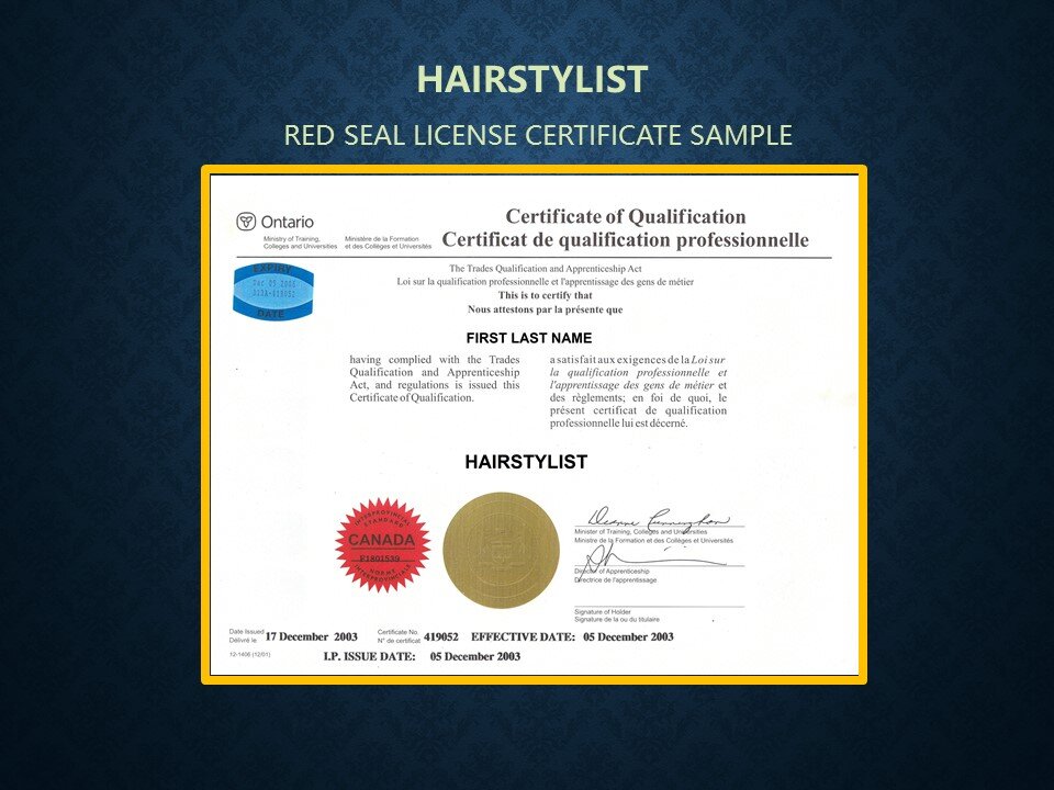 332A HAIRSTYLIST LICENSE