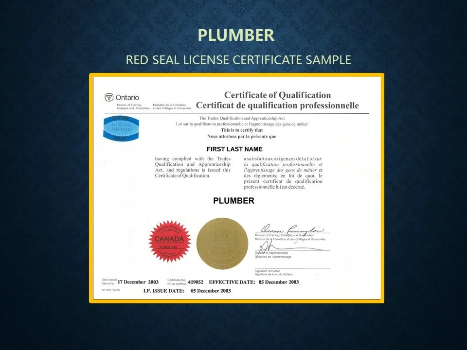 306A PLUMBER LICENSE