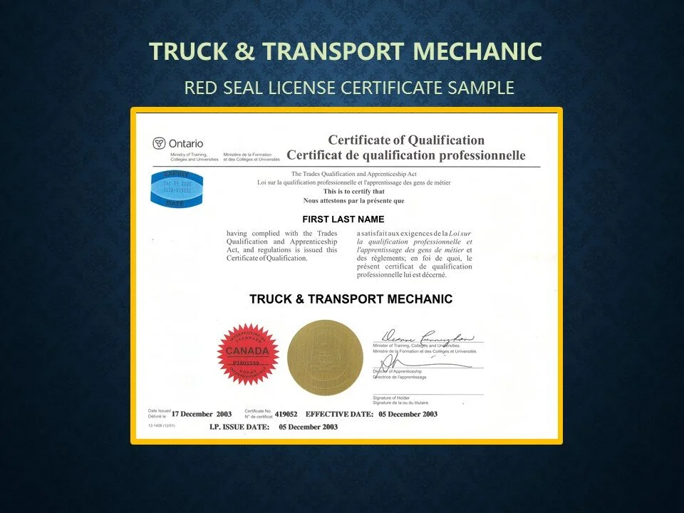 310T TRUCK & TRANSPORT MECHANIC LICENSE