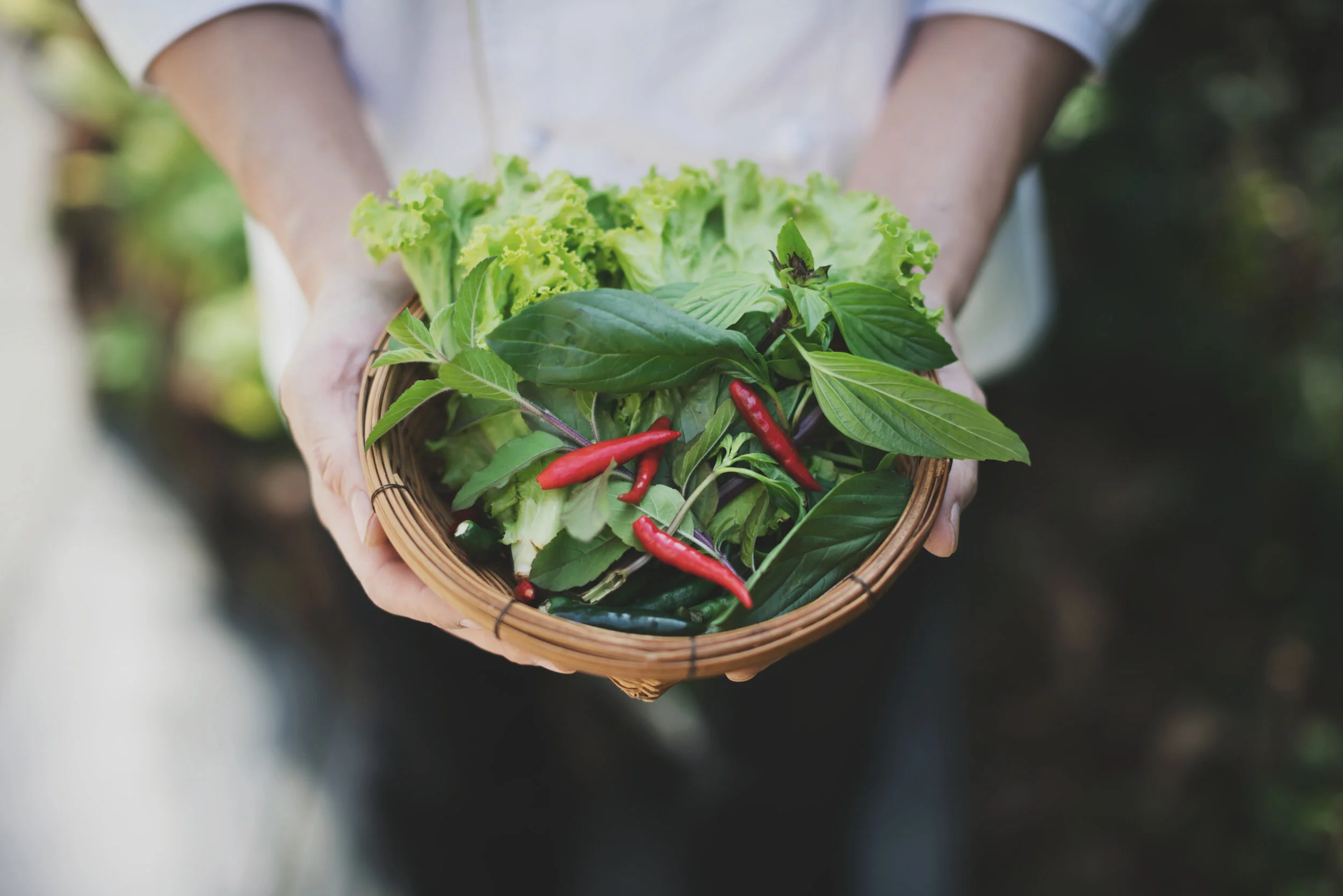 Corporate - Modena Bangkok - 14.jpg