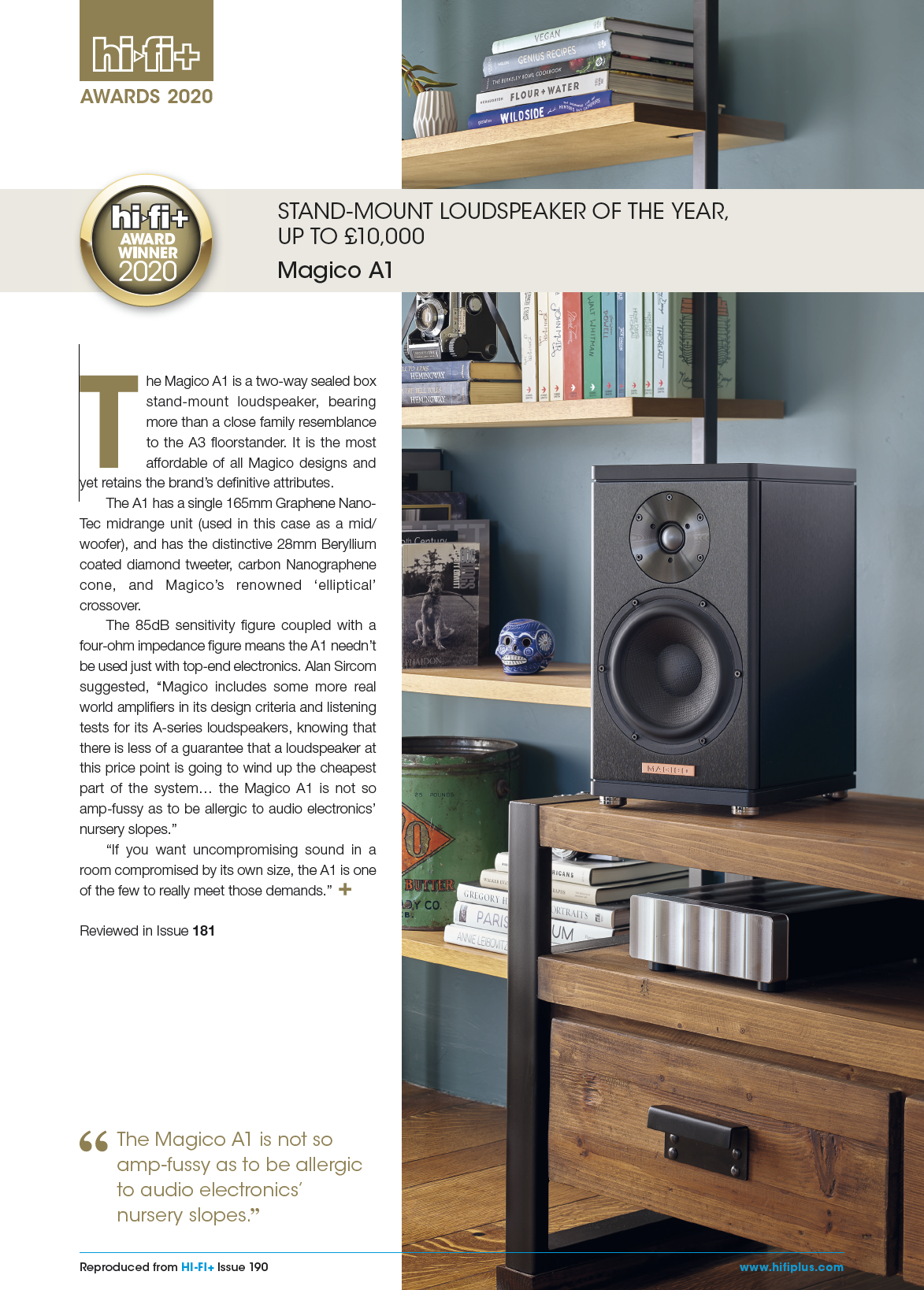 Magico News Winter 2020