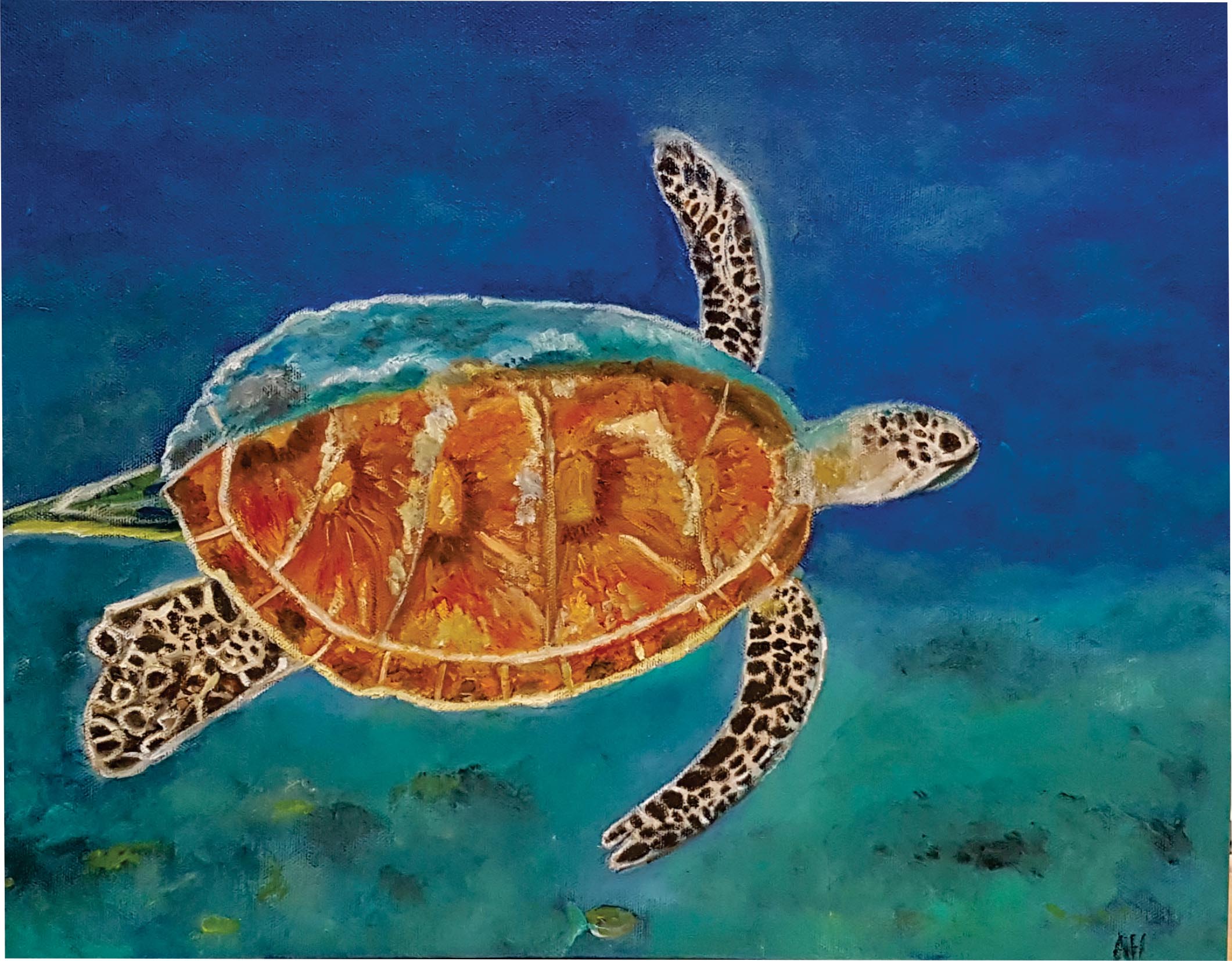 Bajan Sea Turtle