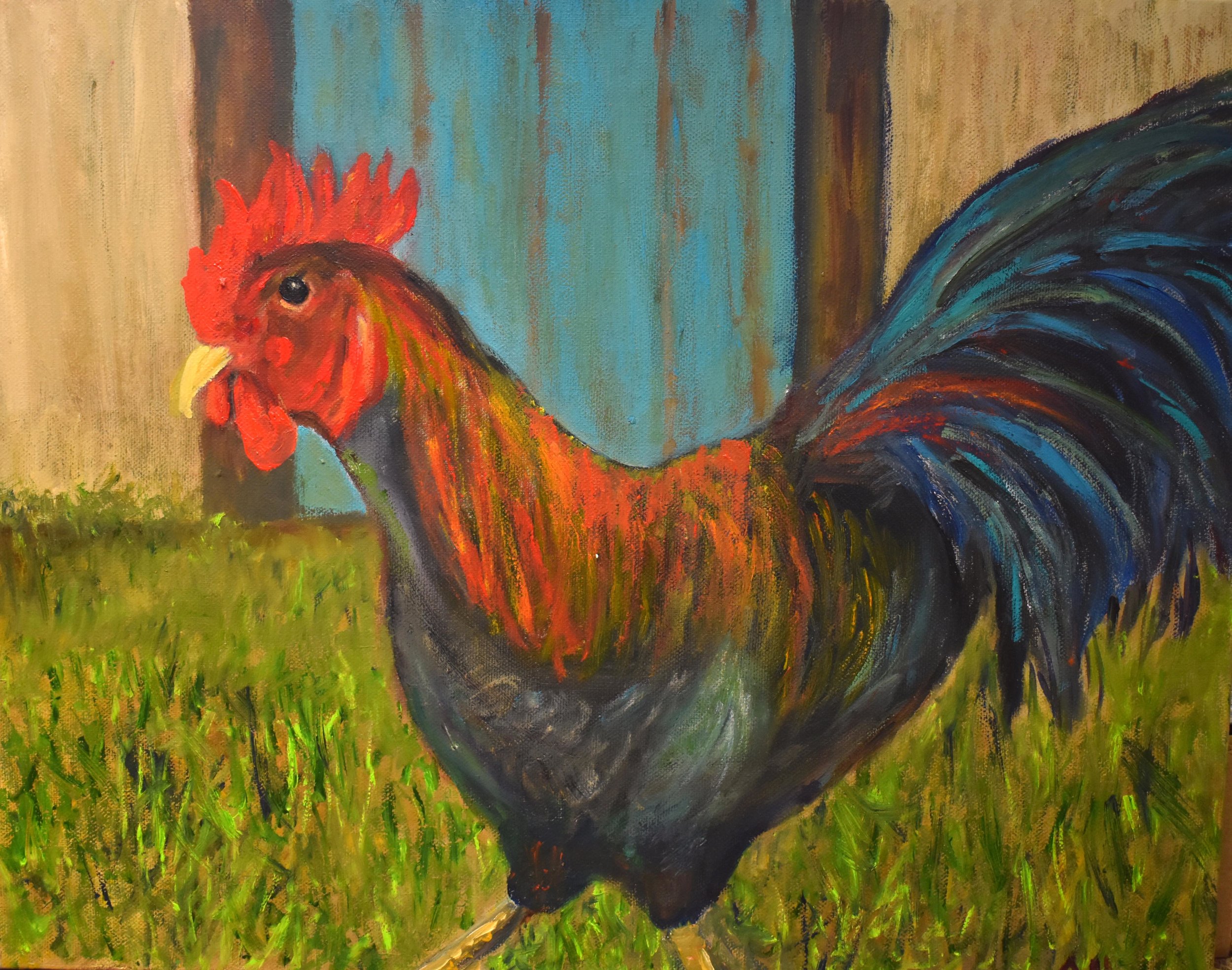 Ralph the Bajan Rooster