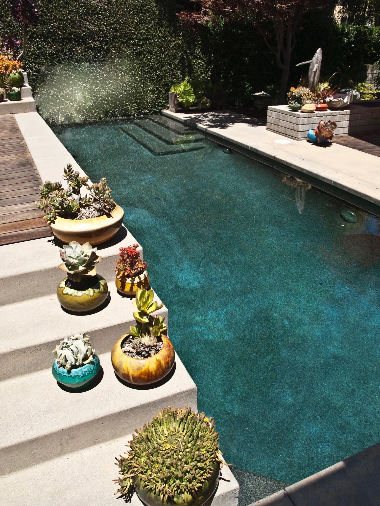 Pool - P6216902.jpg