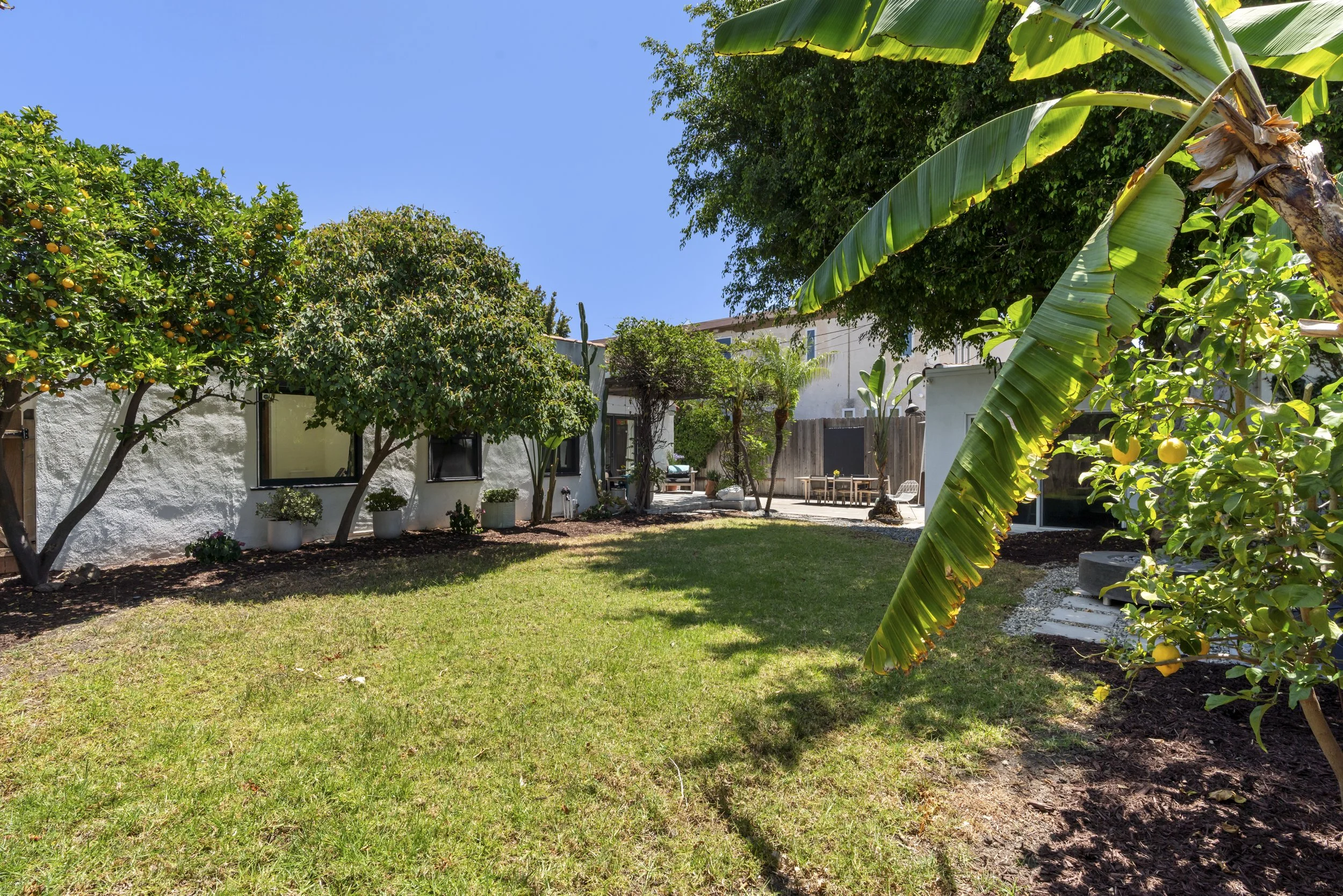 A backyard with a lawn, fruit trees, and tropical plants, including a banana tree with large leaves. There are outdoor tables and chairs near a white house with multiple windows, fencing, and potted plants.