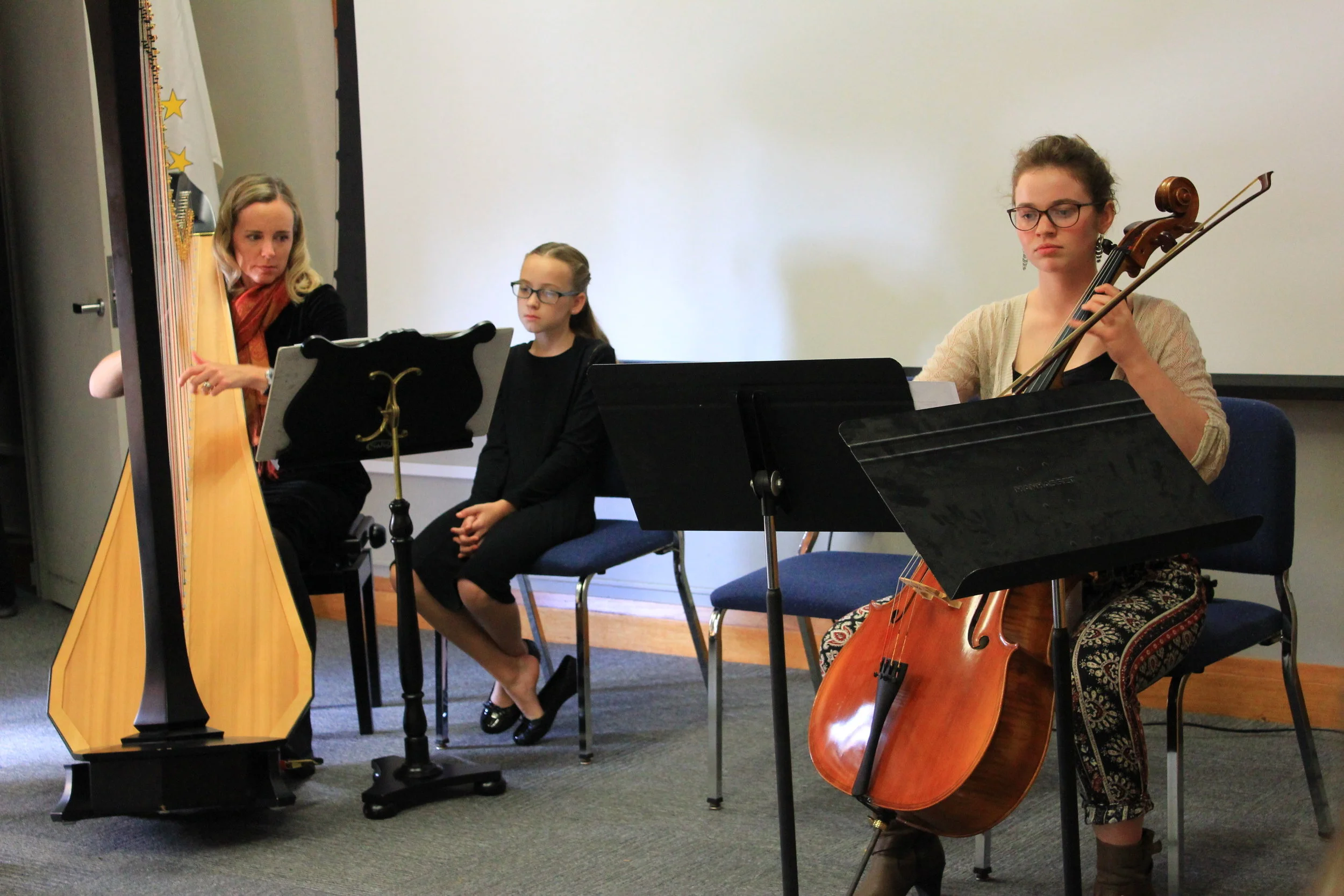 Contrasts: the program