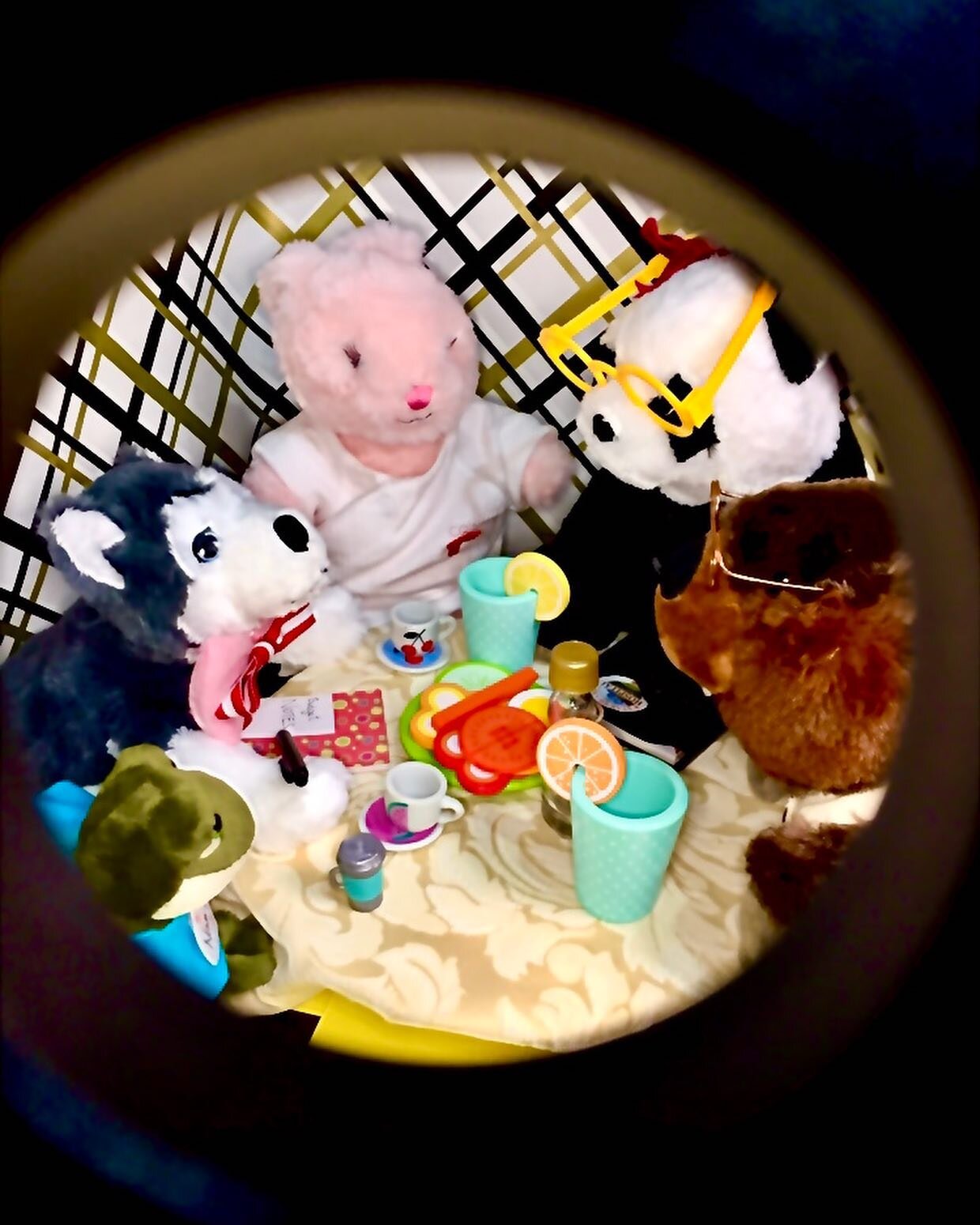 Dr Pink Bunny seems to be supervising a very important Heads of Department meeting.
📕
I&rsquo;d best make sure there is plenty of coffee, water and snacks.  It could be a long, feisty meeting. 
☕️
Kelli Koala;  Cafeteria Manageress for Star Swamp Ho