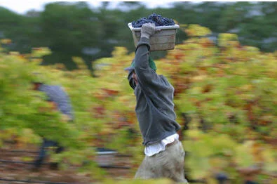 running with pan.jpg