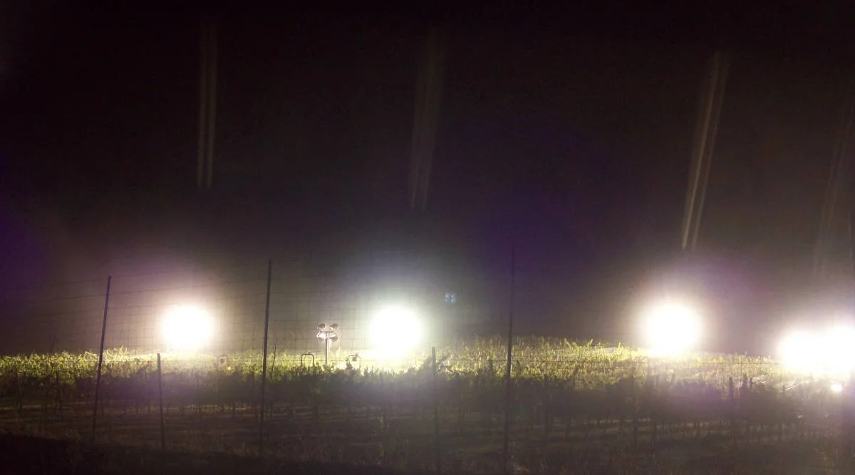 night harvest.jpg