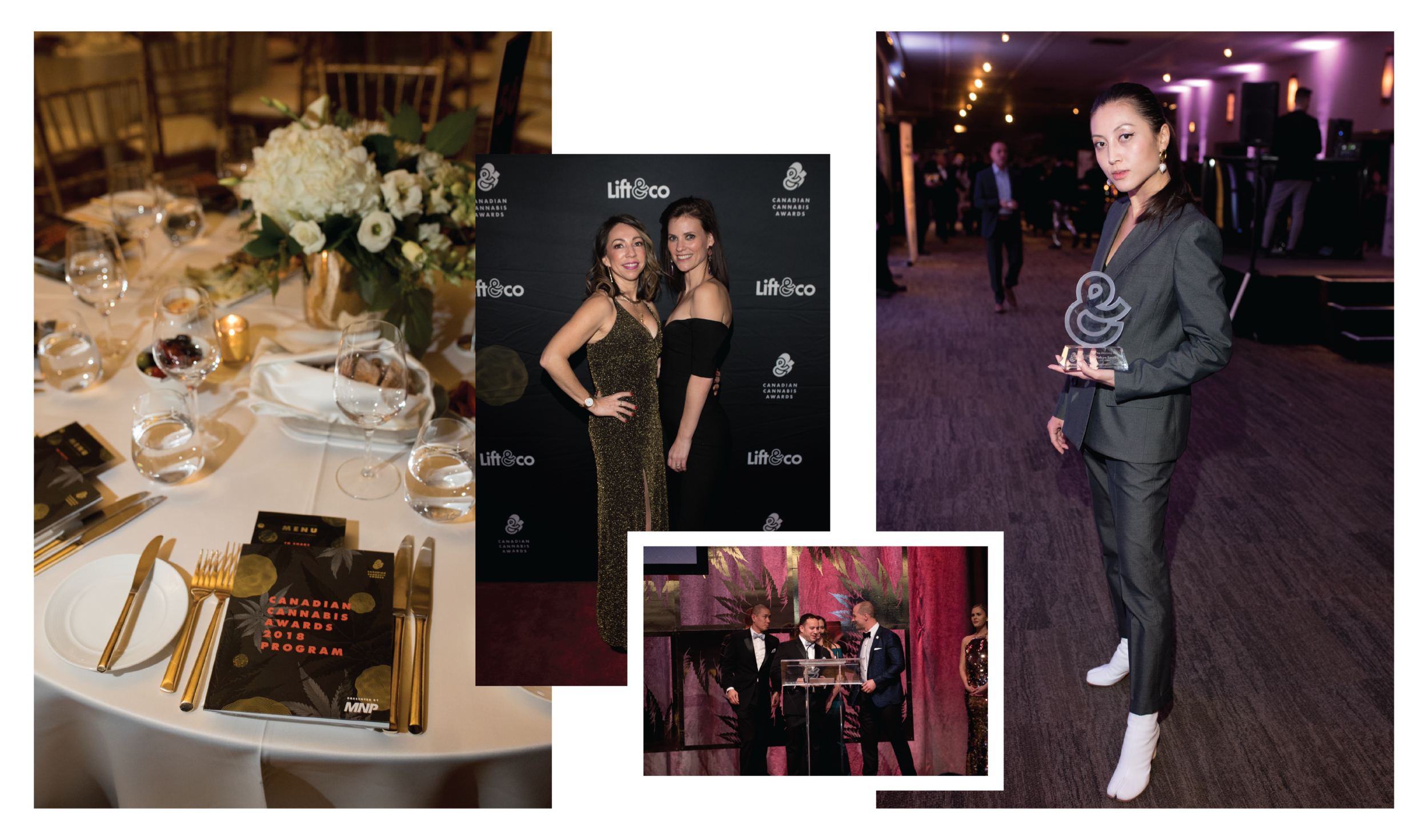 cca pix-01.png