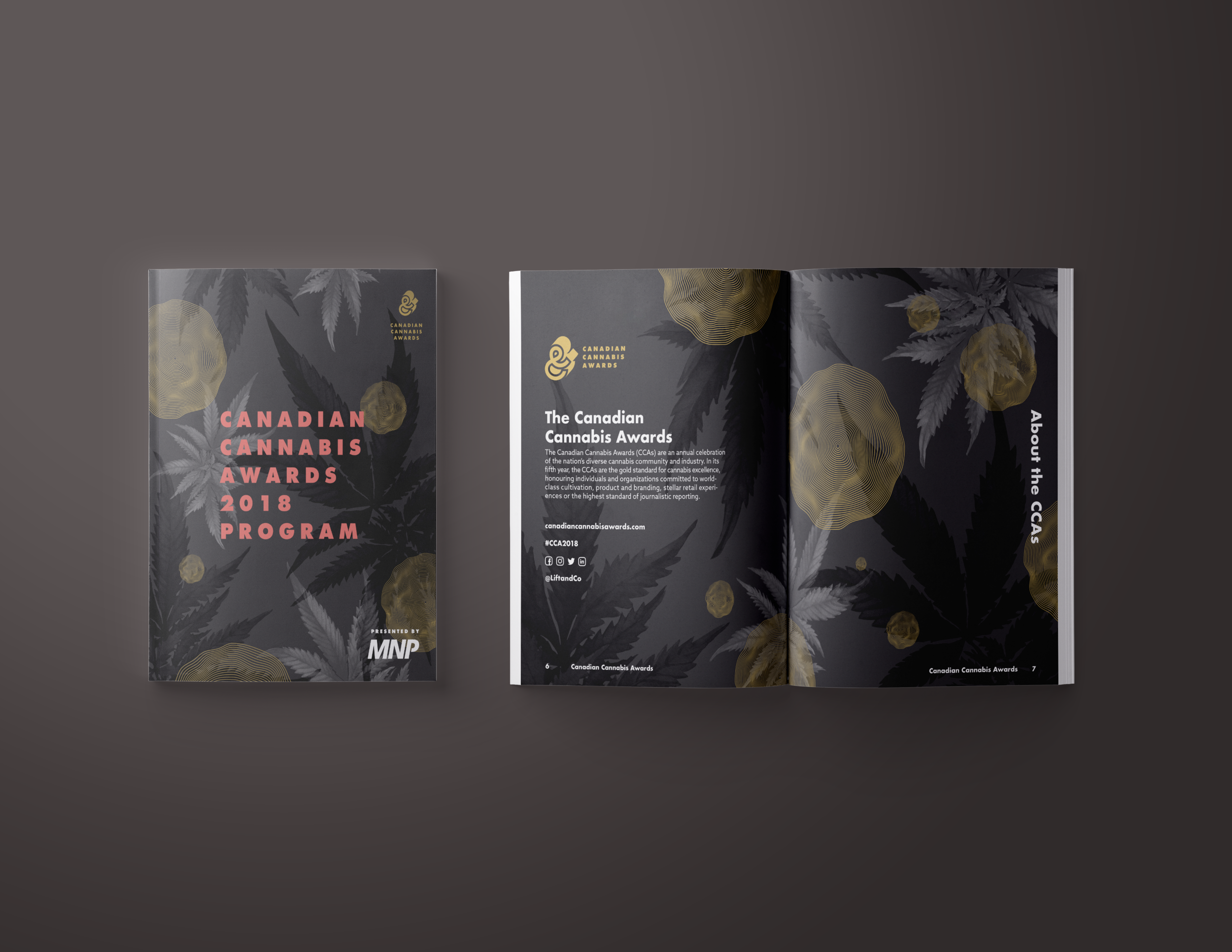 cca mag_mockup.png