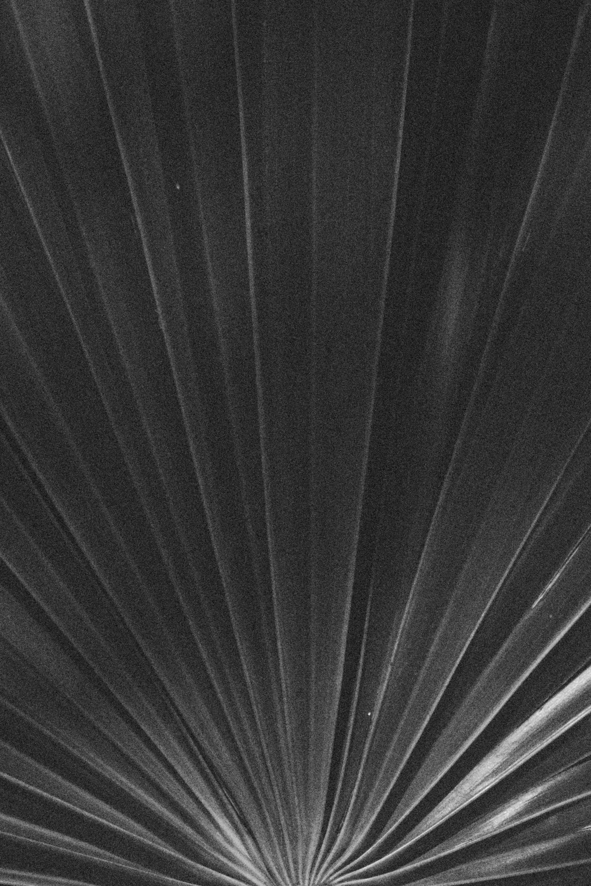 AQUA-25S1_CREATIF-5950.jpg