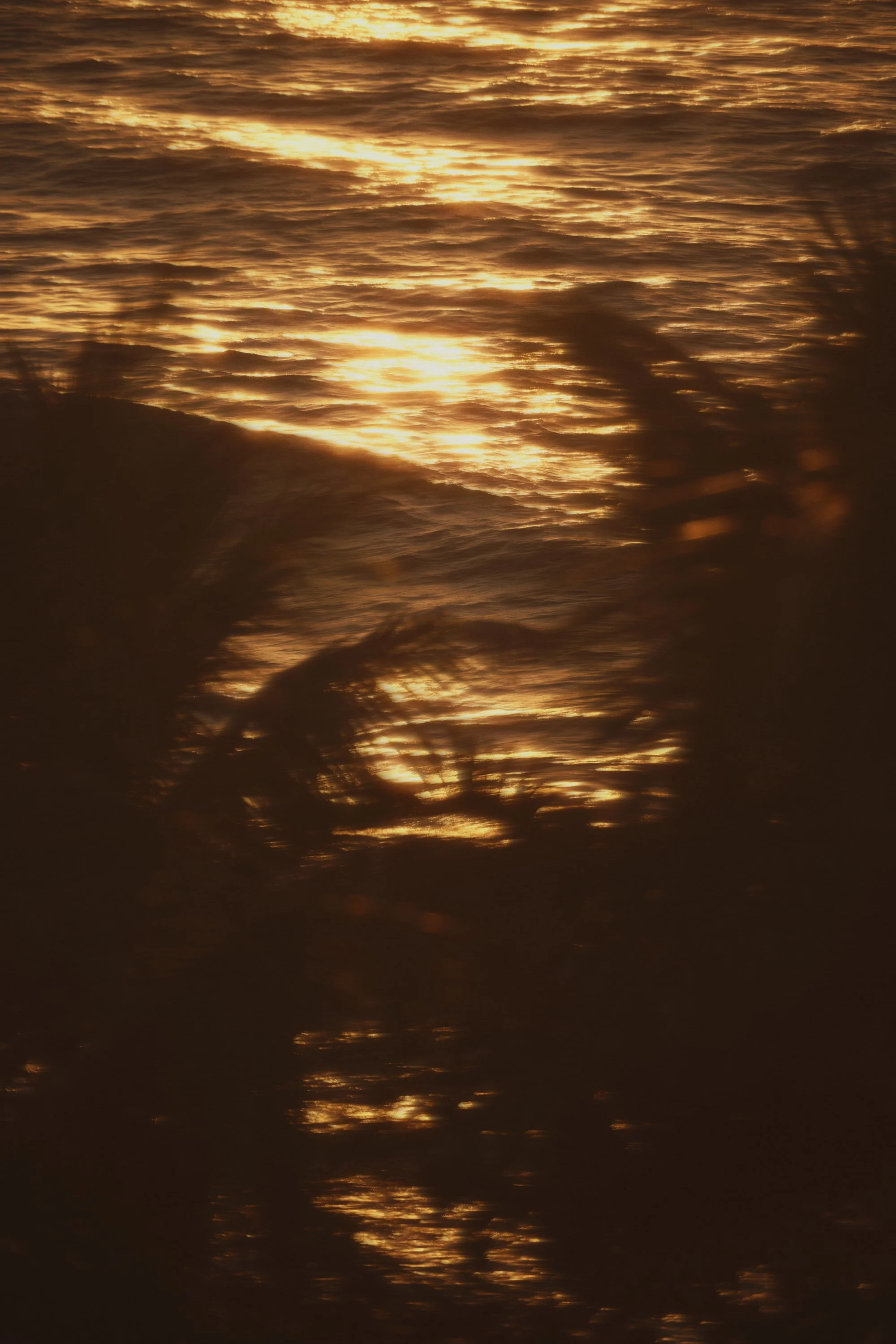 Costa-Del-Rey-25S4-F1_Capture-9584.jpg