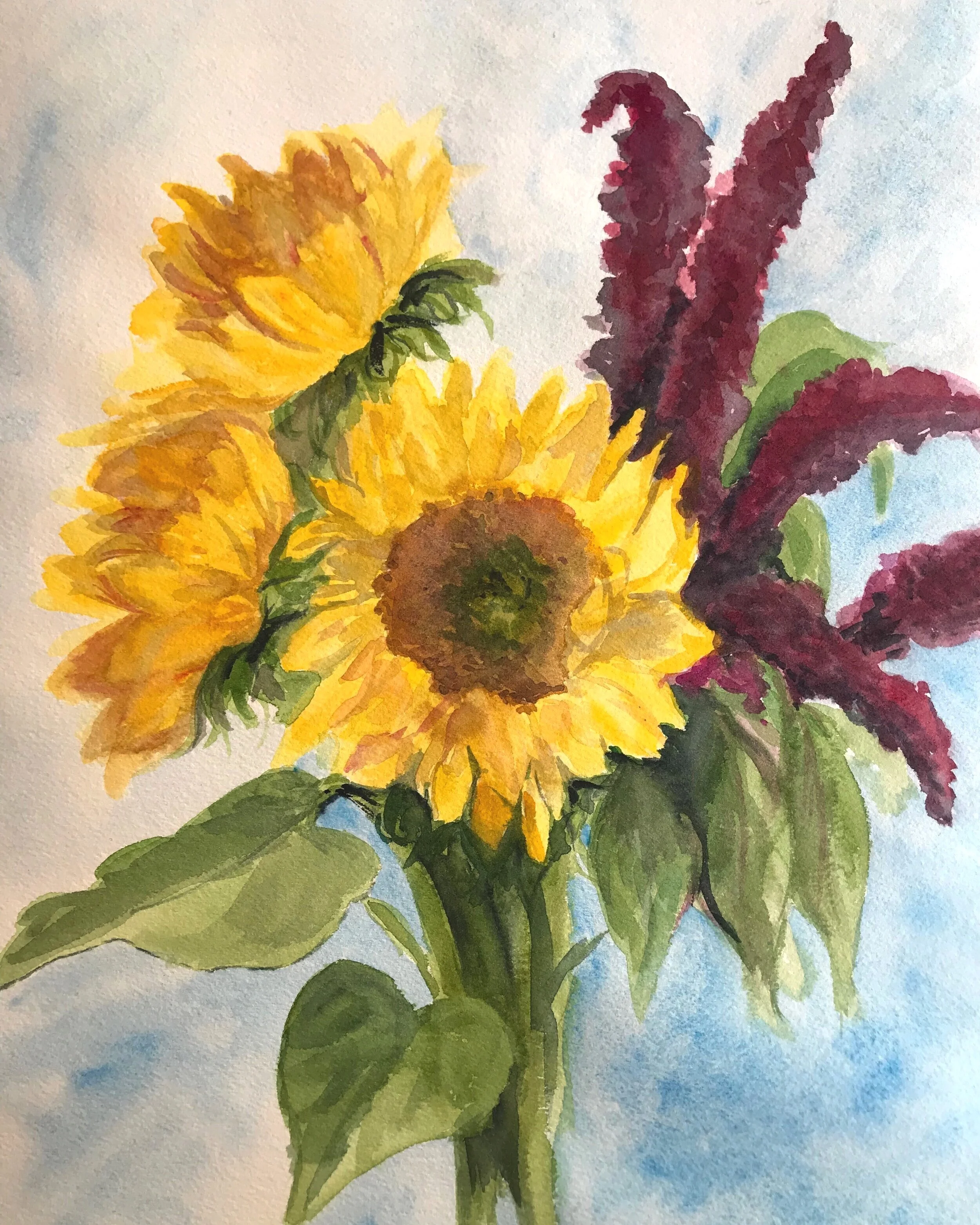 sunflower2.JPG