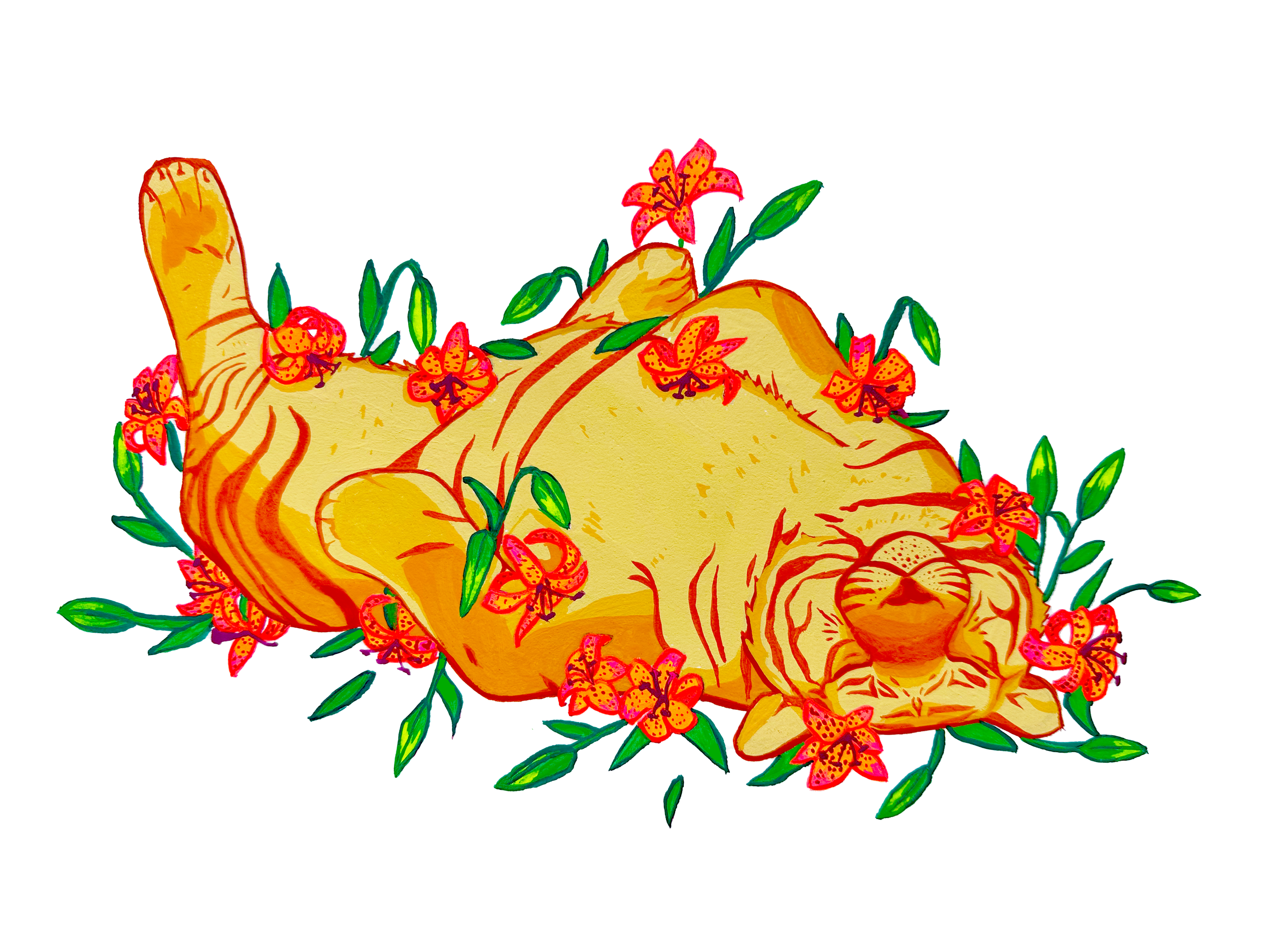 Tiger Lily.png