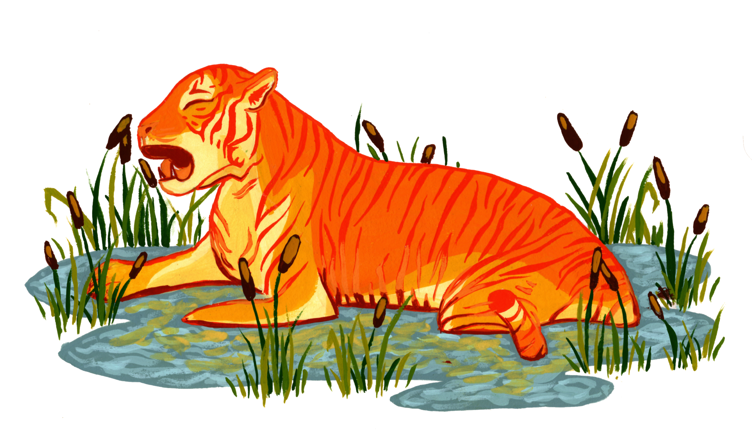 27_Pond.png