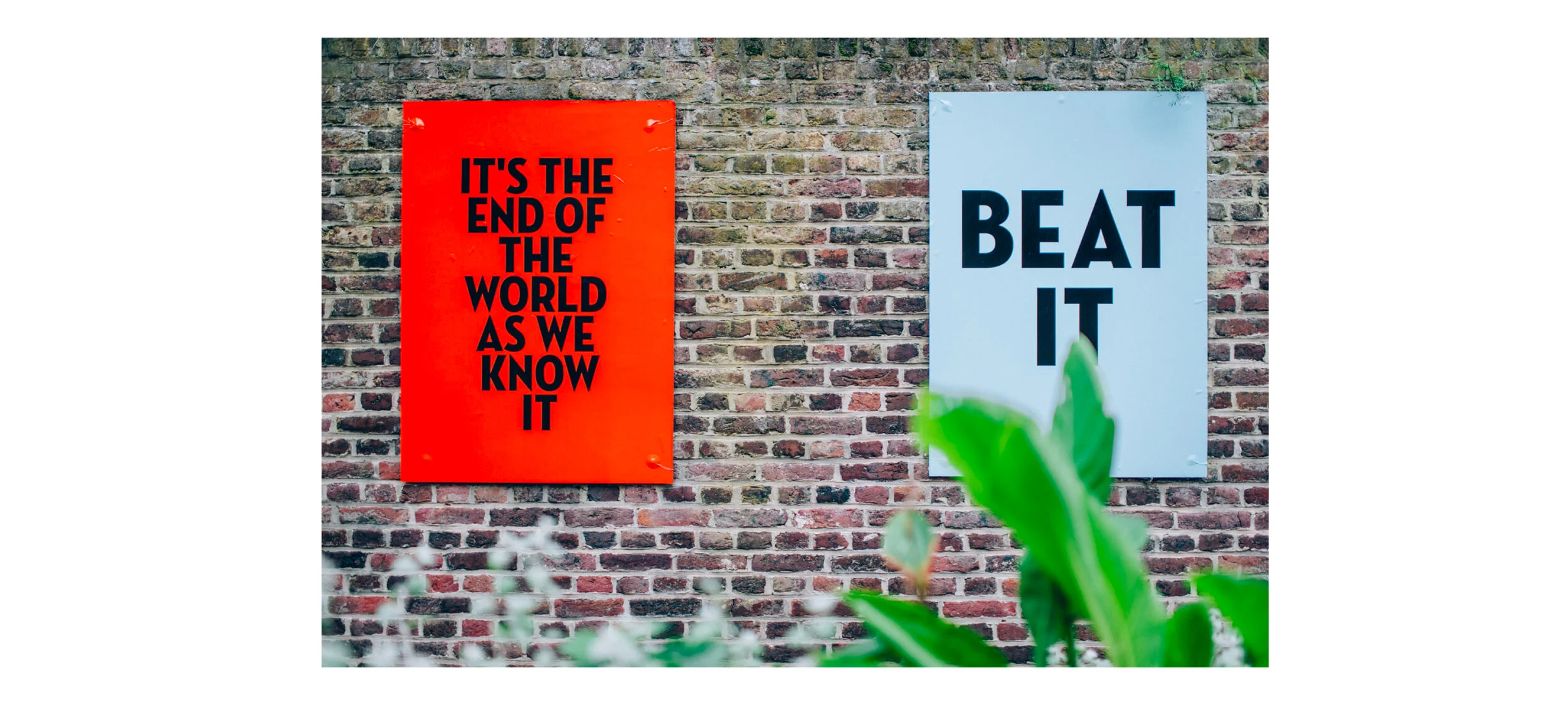 ALLEY WEBSITE FILE WS2.jpg