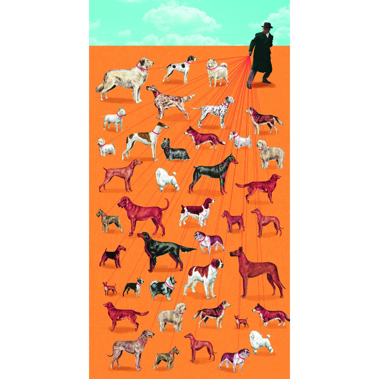 DS_dogwalker.jpg